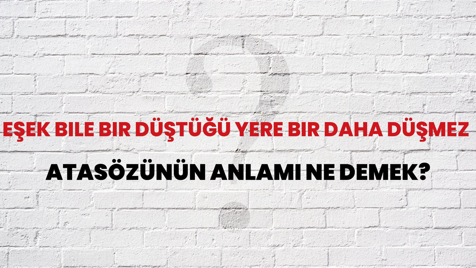 Eşek bile bir düştüğü yere bir daha düşmez Atasözünün Anlamı Ne Demek?