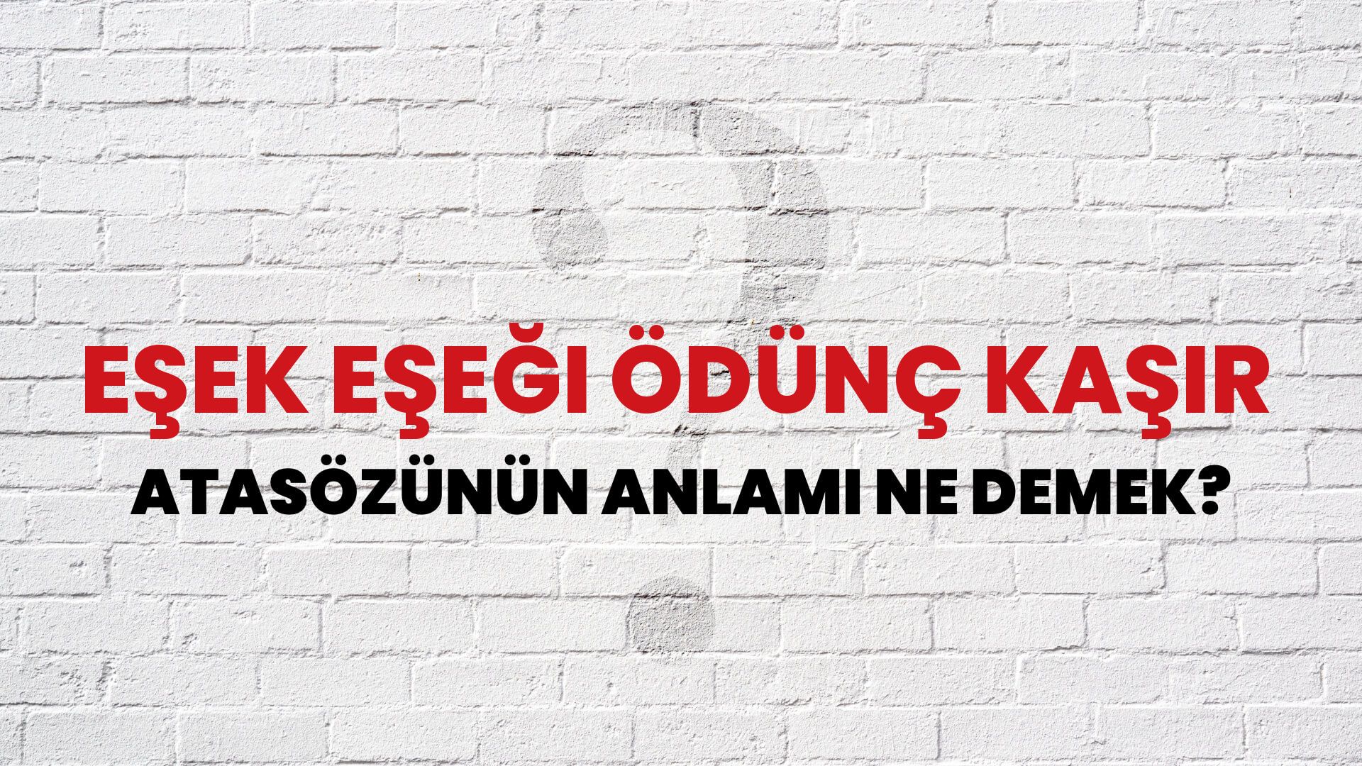 Eşek eşeği ödünç kaşır Atasözünün Anlamı Ne Demek?
