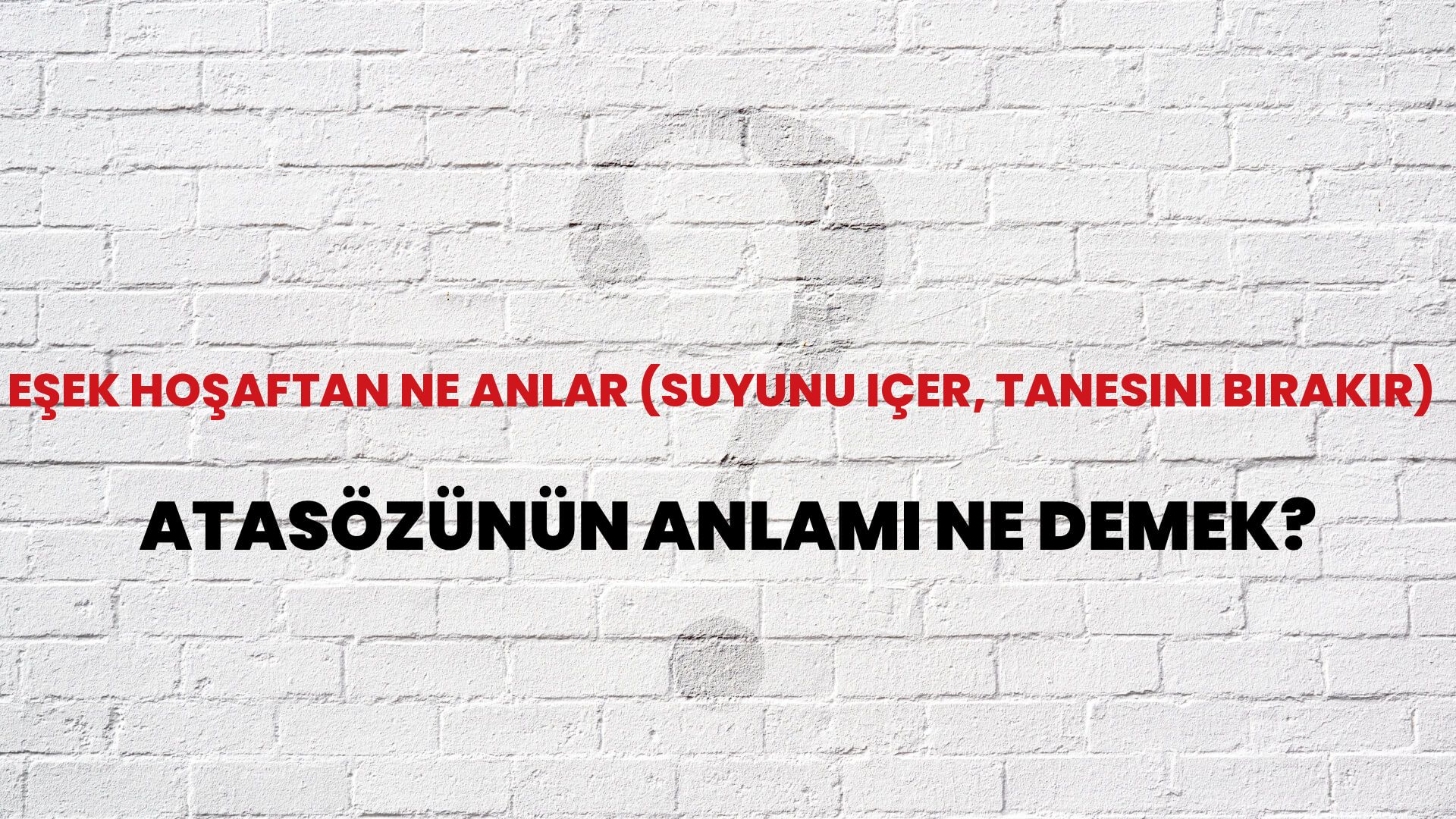 Eşek hoşaftan ne anlar (suyunu içer, tanesini bırakır) Atasözünün Anlamı Ne Demek?