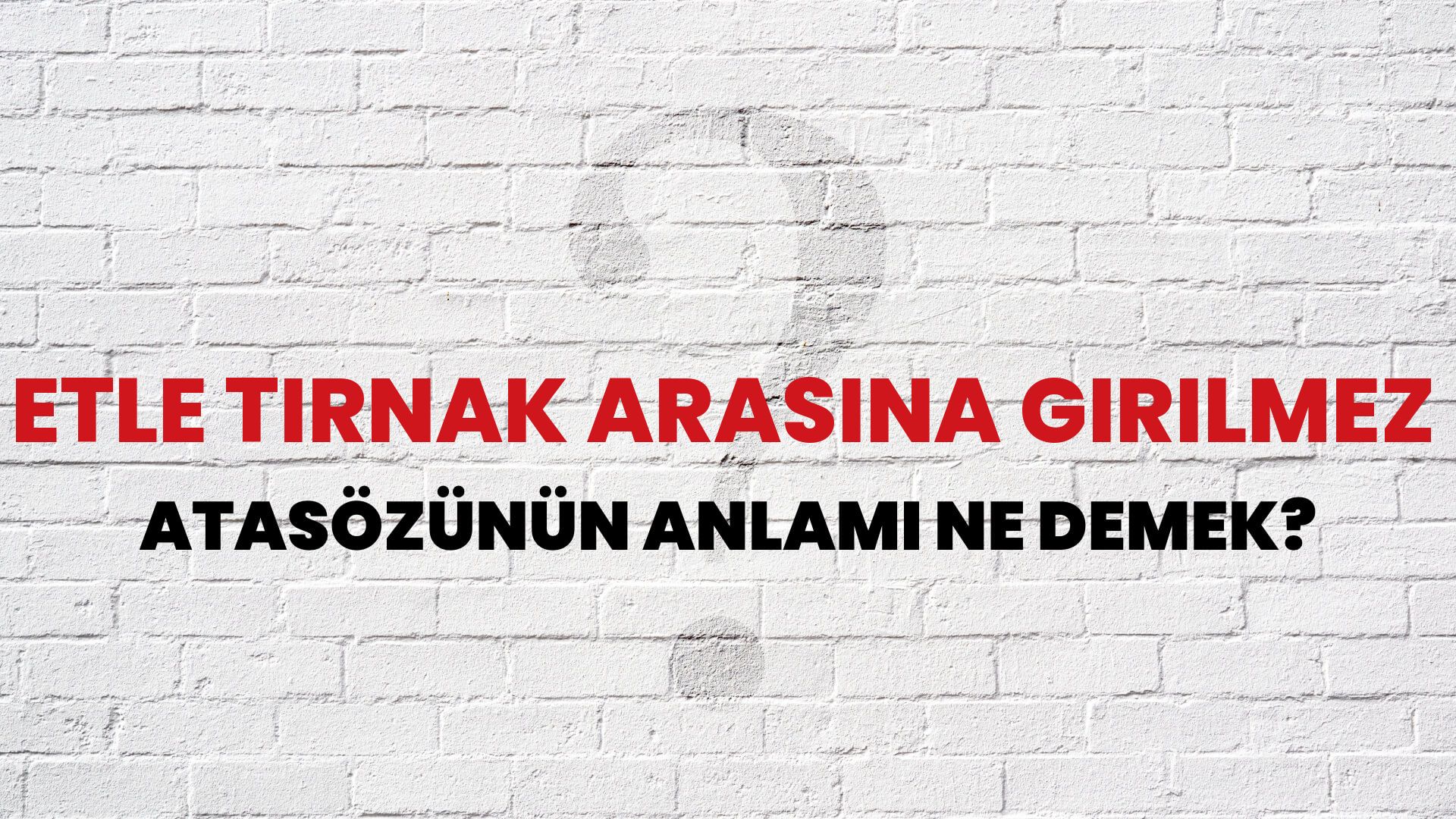Etle tırnak arasına girilmez Atasözünün Anlamı Ne Demek?