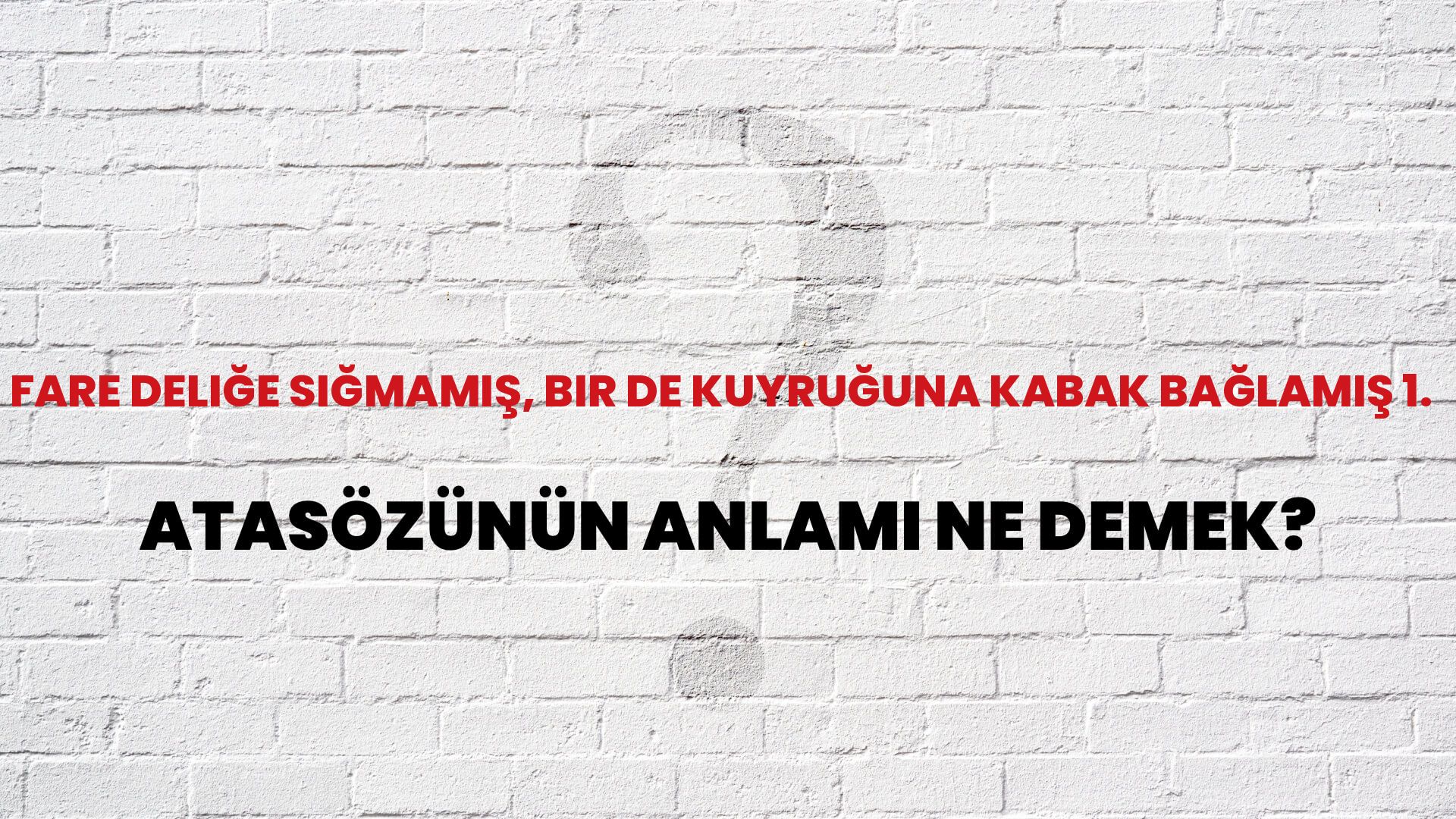 Fare deliğe sığmamış, bir de kuyruğuna kabak bağlamış 1. Atasözünün Anlamı Ne Demek?