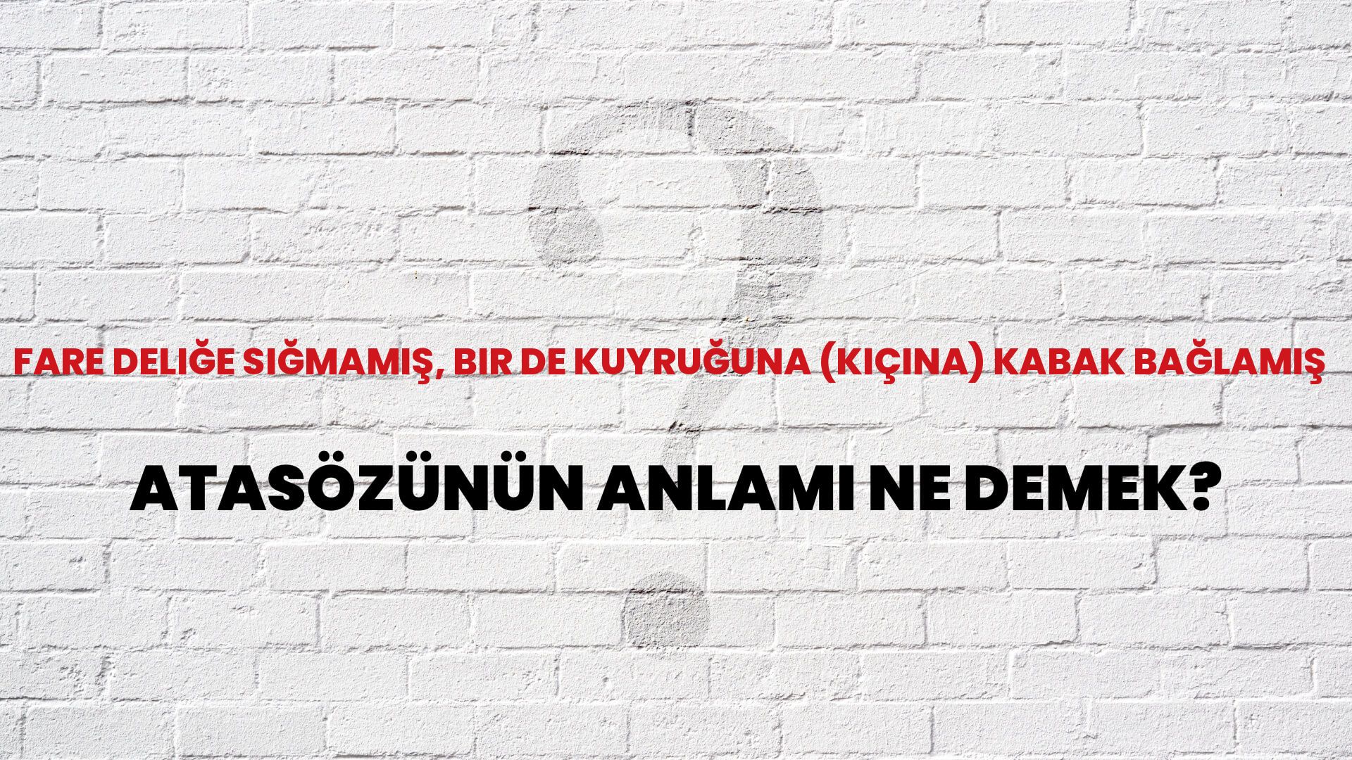 Fare deliğe sığmamış, bir de kuyruğuna (kıçına) kabak bağlamış Atasözünün Anlamı Ne Demek?