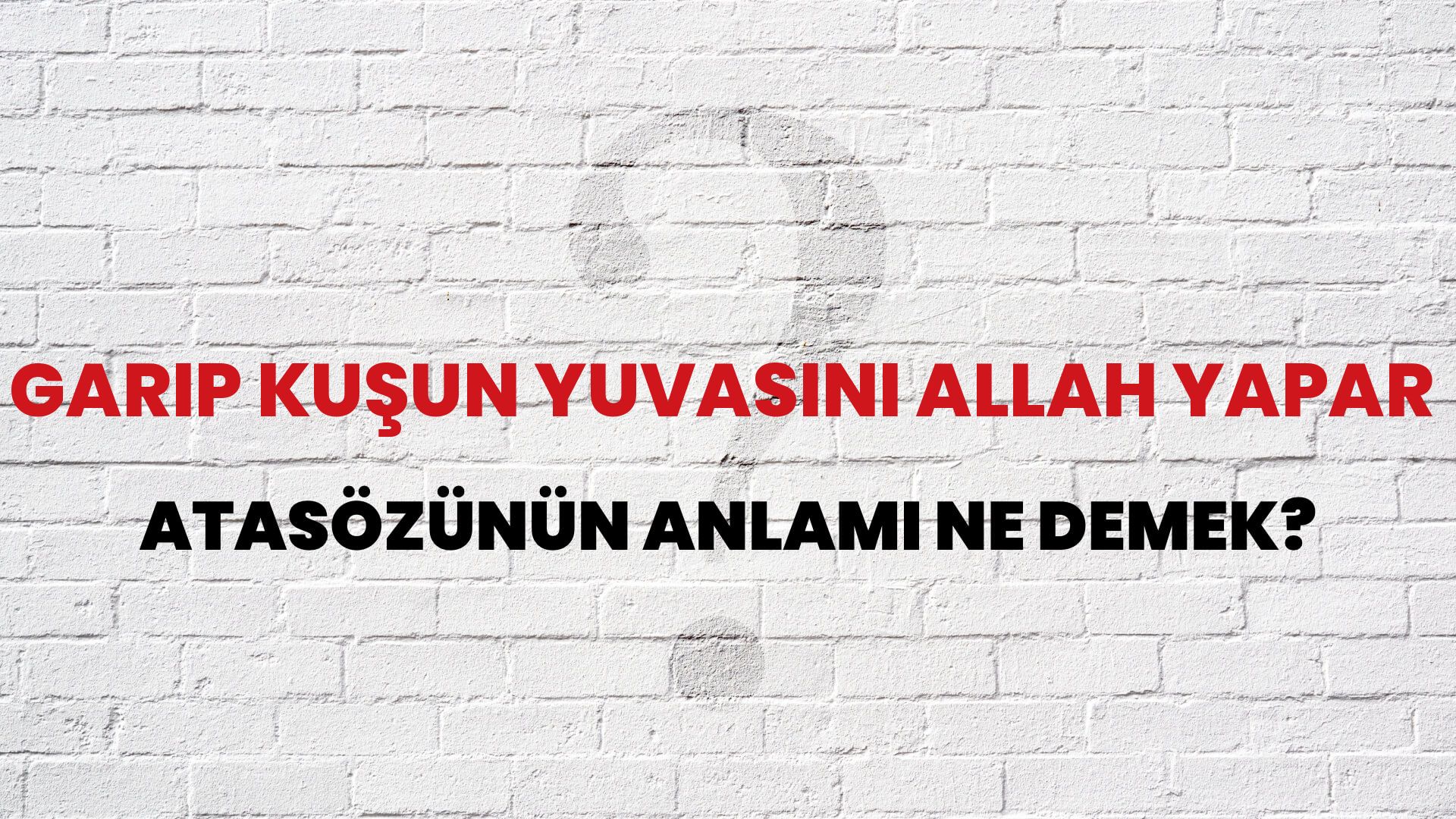 Garip kuşun yuvasını Allah yapar Atasözünün Anlamı Ne Demek?