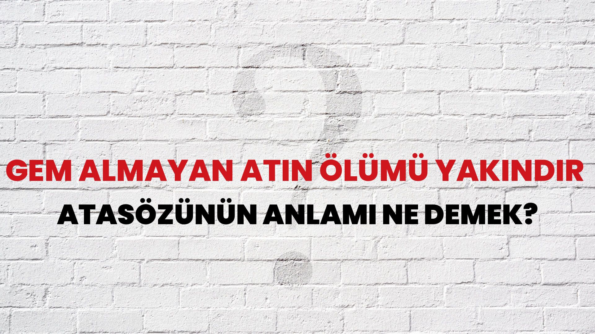 Gem almayan atın ölümü yakındır Atasözünün Anlamı Ne Demek?