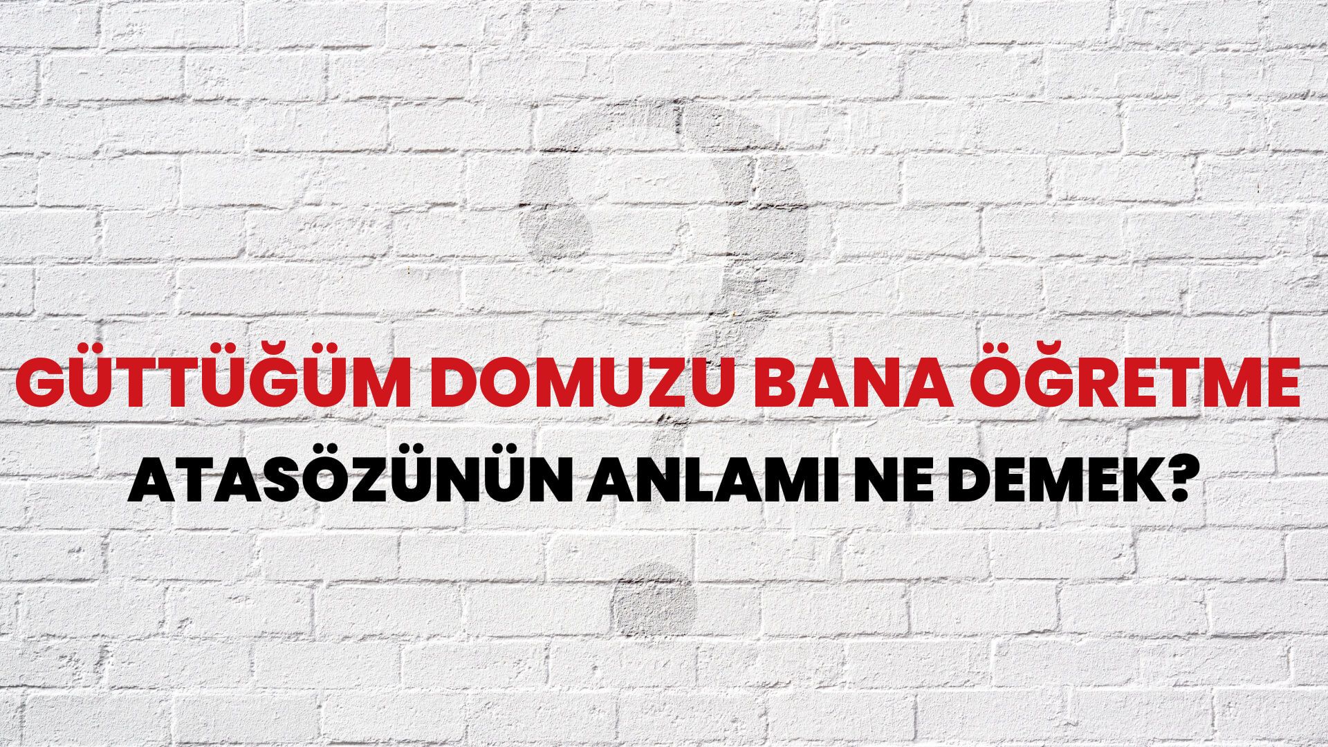 Güttüğüm domuzu bana öğretme Atasözünün Anlamı Ne Demek?