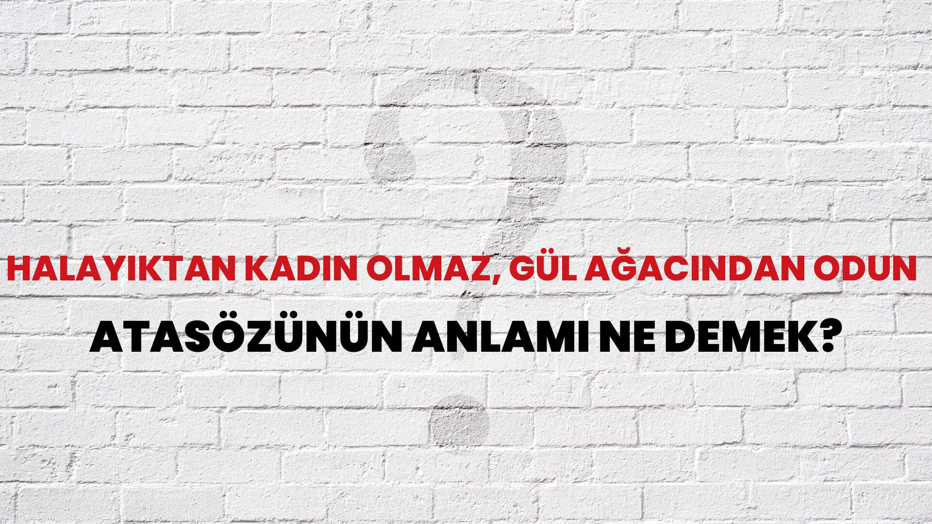 Halayıktan kadın olmaz, gül ağacından odun Atasözünün Anlamı Ne Demek?