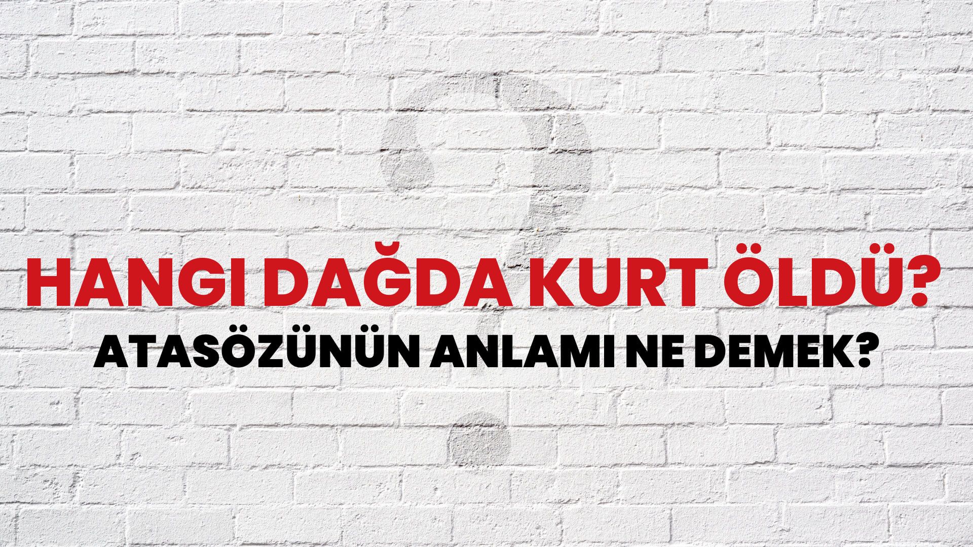 Hangi dağda kurt öldü? Atasözünün Anlamı Ne Demek?