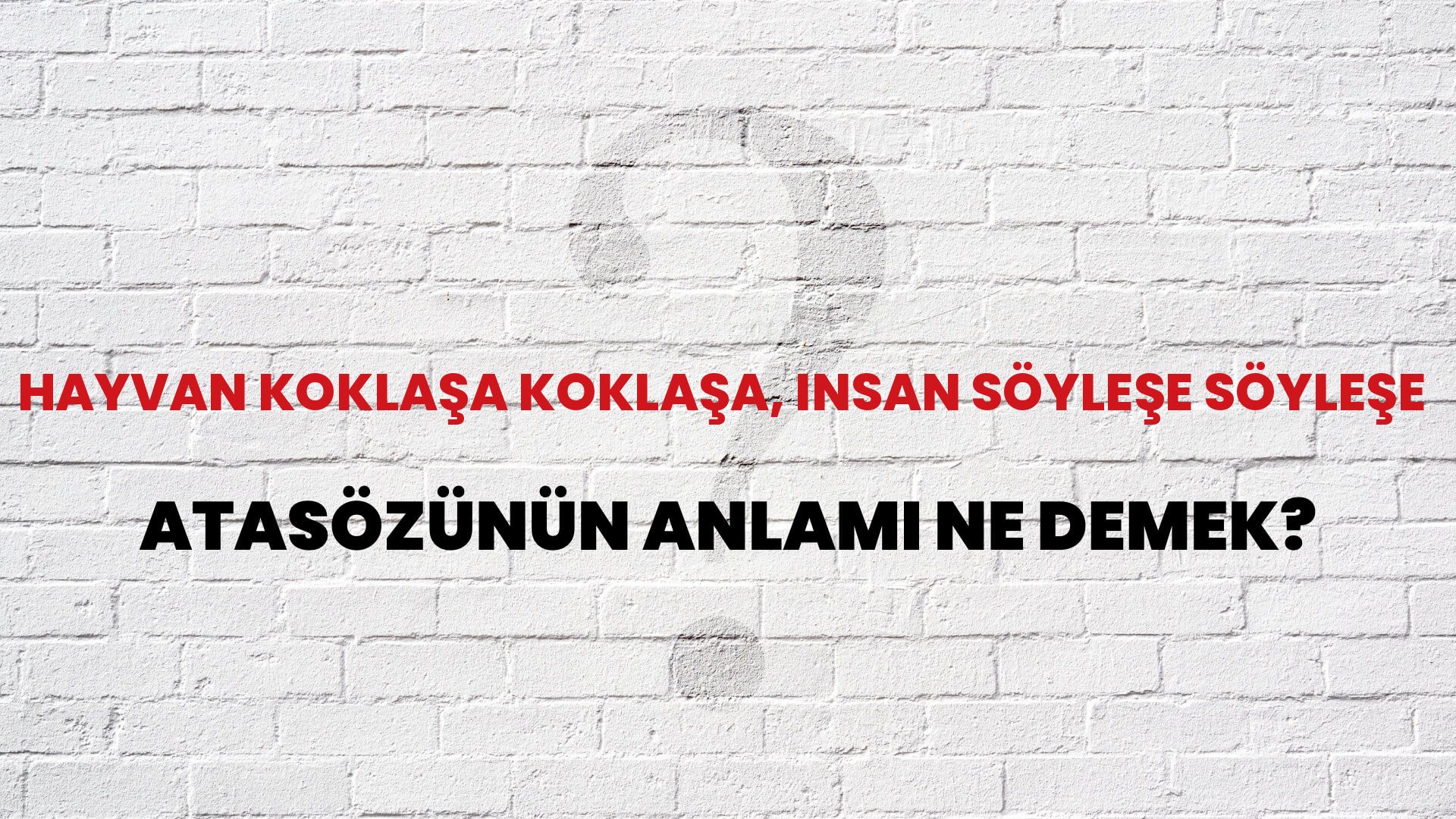 Hayvan koklaşa koklaşa, insan söyleşe söyleşe Atasözünün Anlamı Ne Demek?
