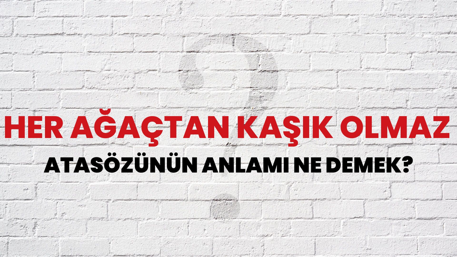 Her ağaçtan kaşık olmaz Atasözünün Anlamı Ne Demek?