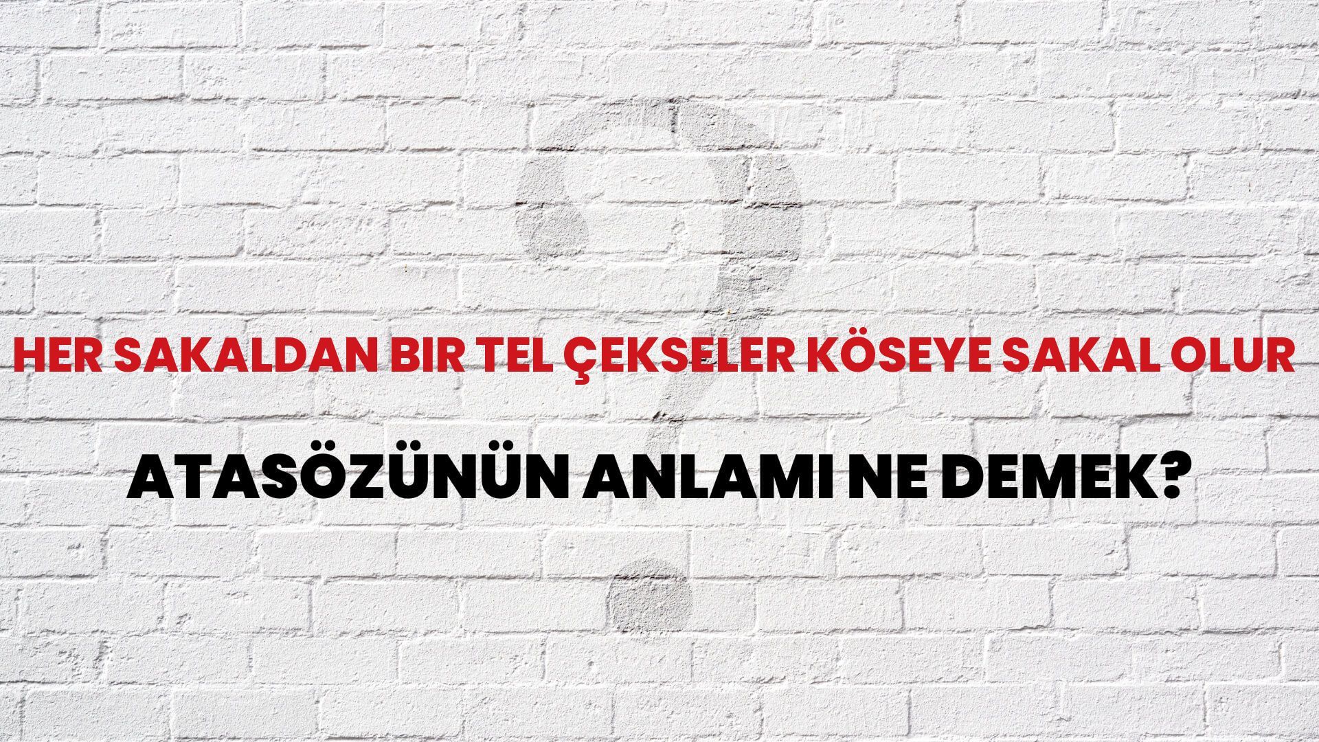 Her sakaldan bir tel çekseler köseye sakal olur Atasözünün Anlamı Ne Demek?