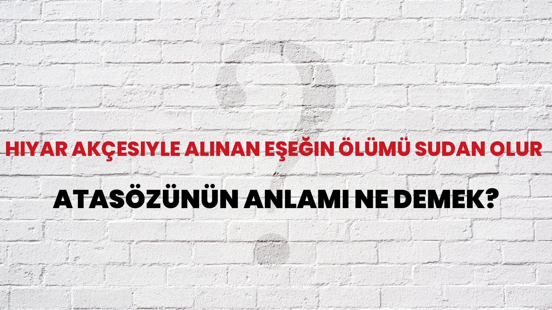 Hıyar akçesiyle alınan eşeğin ölümü sudan olur Atasözünün Anlamı Ne Demek?