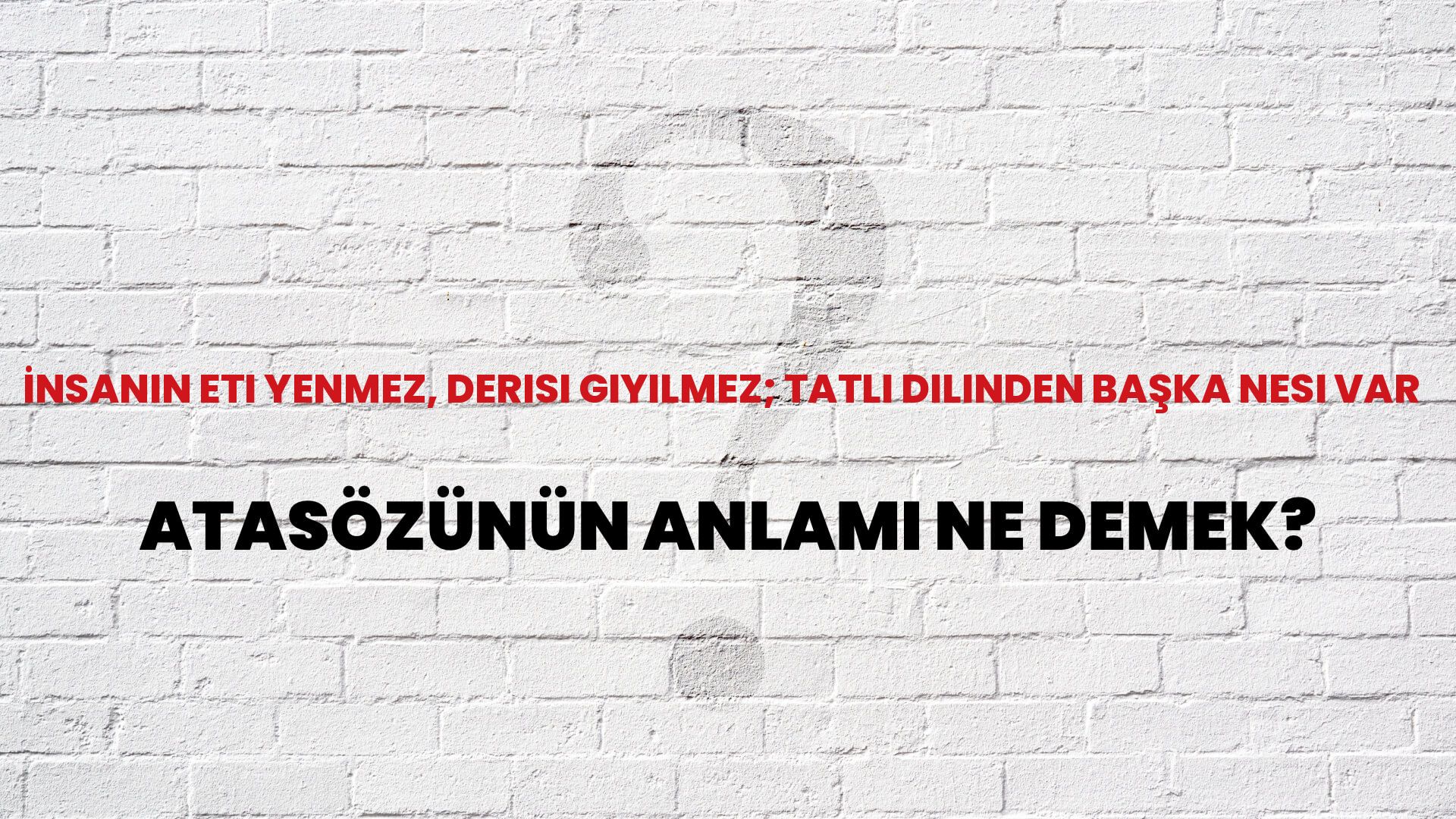 İnsanın eti yenmez, derisi giyilmez; tatlı dilinden başka nesi var Atasözünün Anlamı Ne Demek?