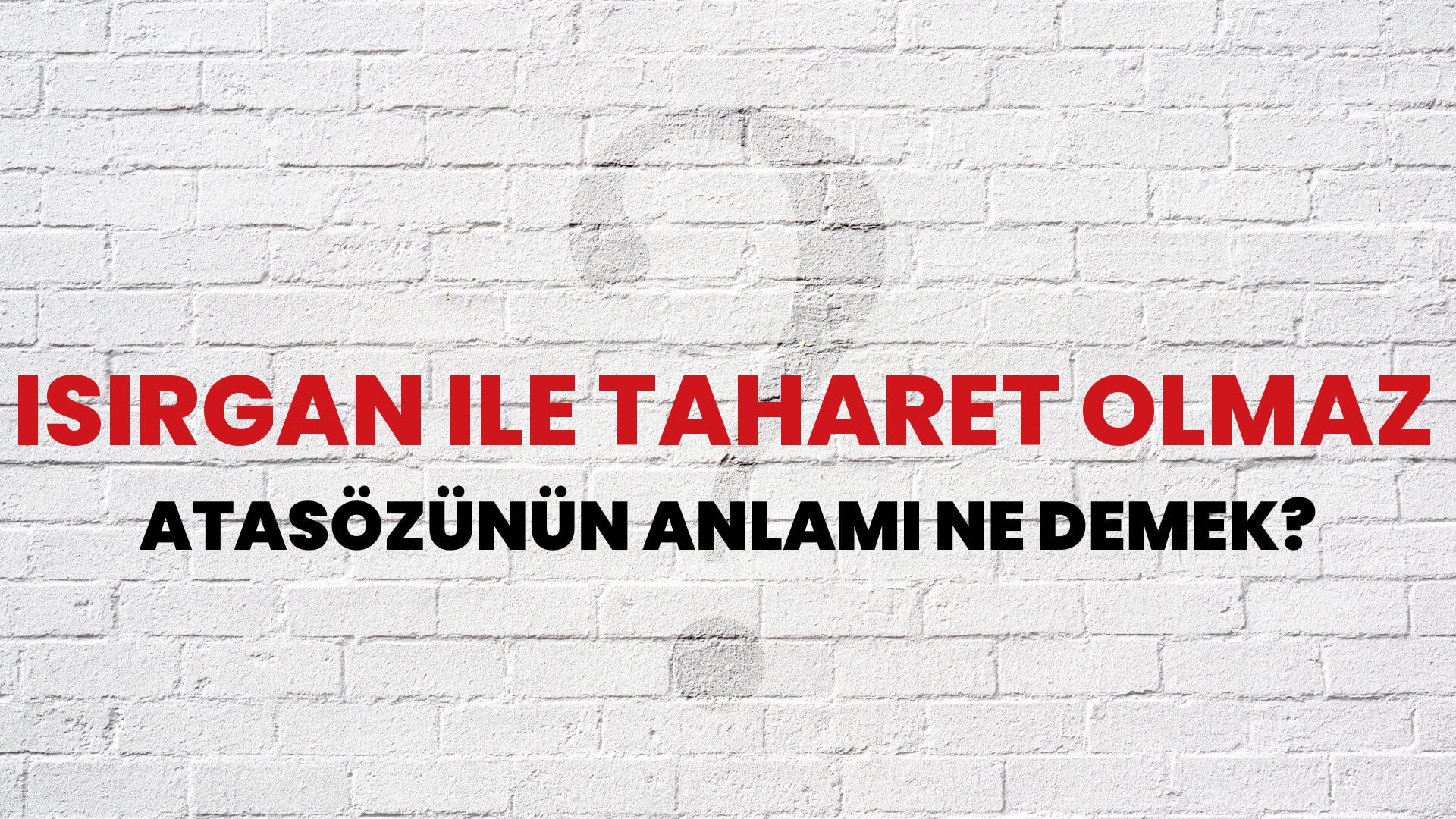 Isırgan ile taharet olmaz Atasözünün Anlamı Ne Demek?