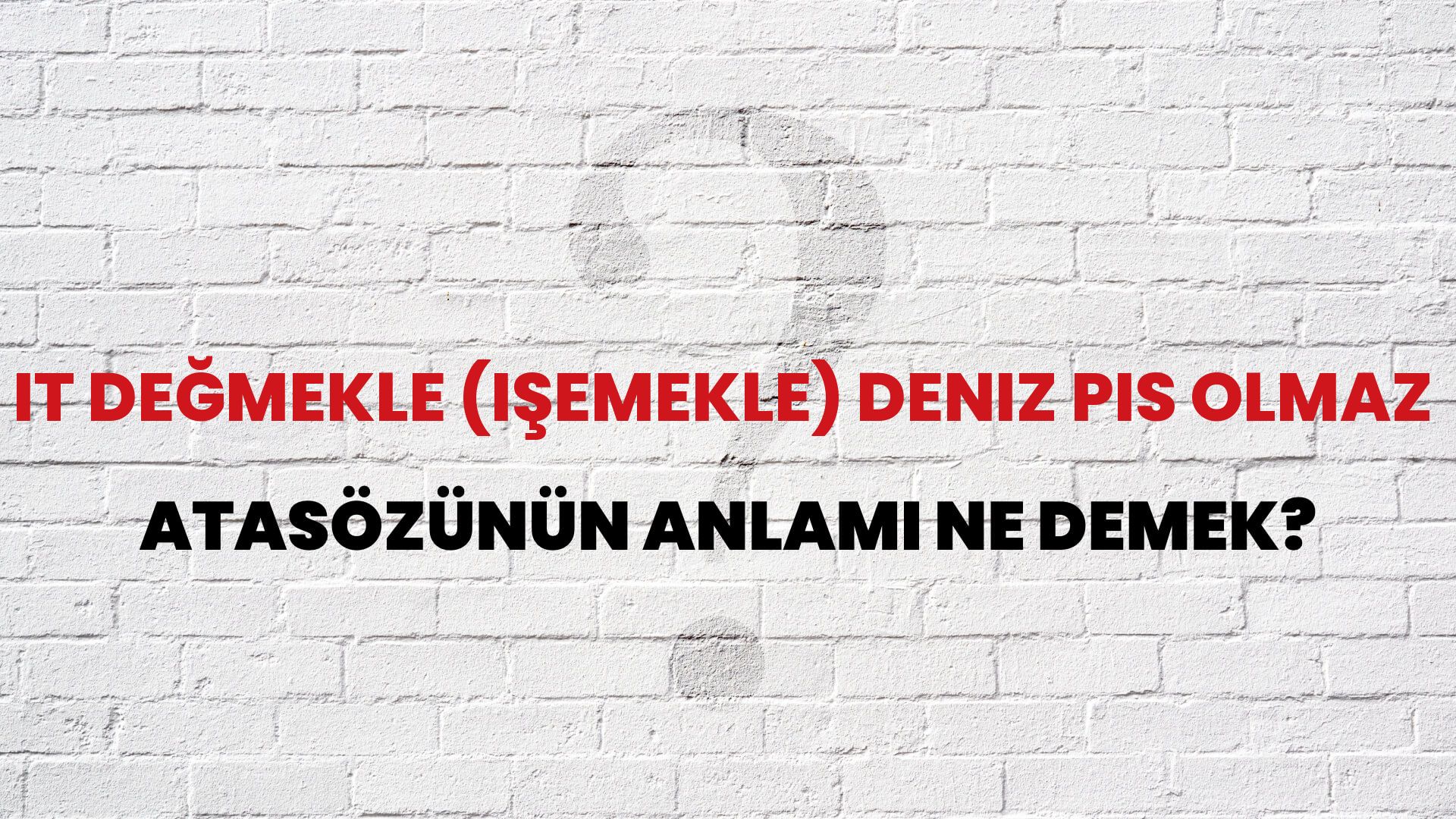 İt değmekle (işemekle) deniz pis olmaz Atasözünün Anlamı Ne Demek?