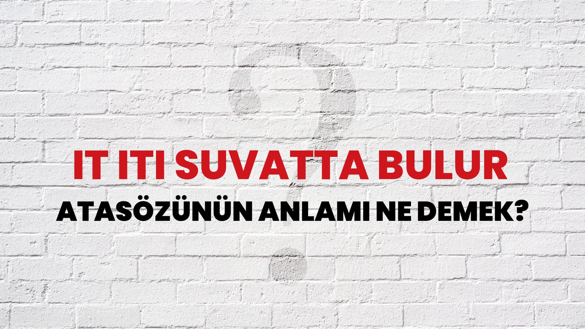 İt iti suvatta bulur Atasözünün Anlamı Ne Demek?