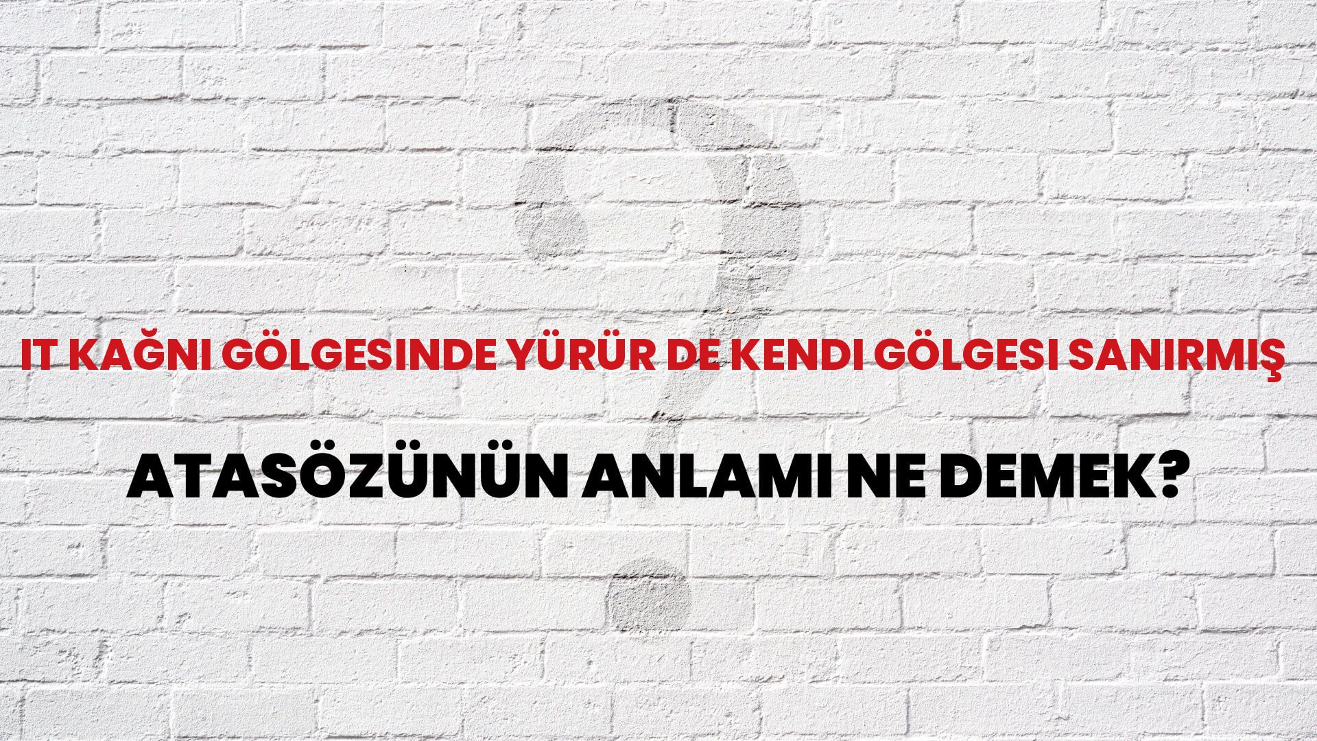 İt kağnı gölgesinde yürür de kendi gölgesi sanırmış Atasözünün Anlamı Ne Demek?