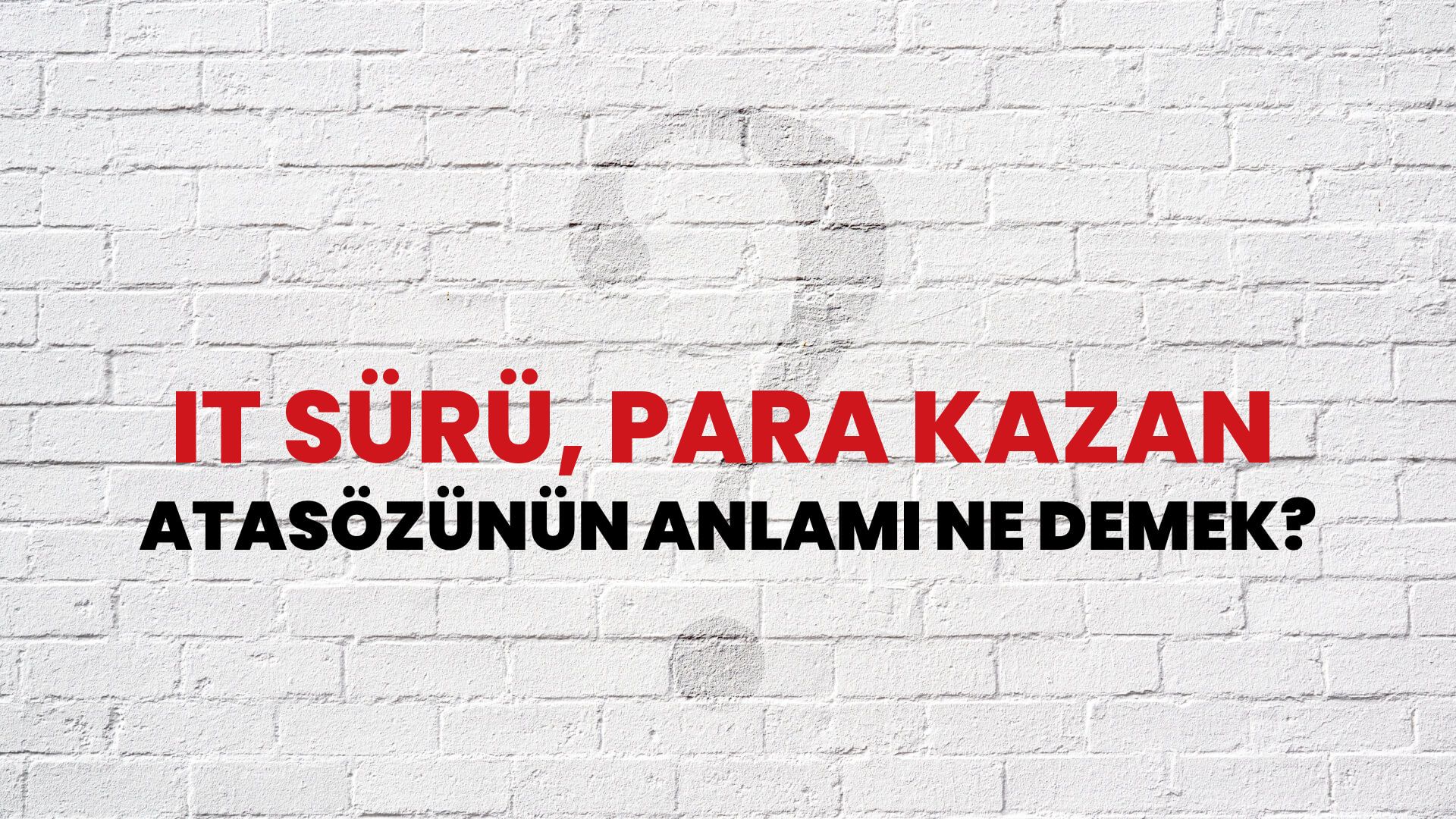 İt sürü, para kazan Atasözünün Anlamı Ne Demek?
