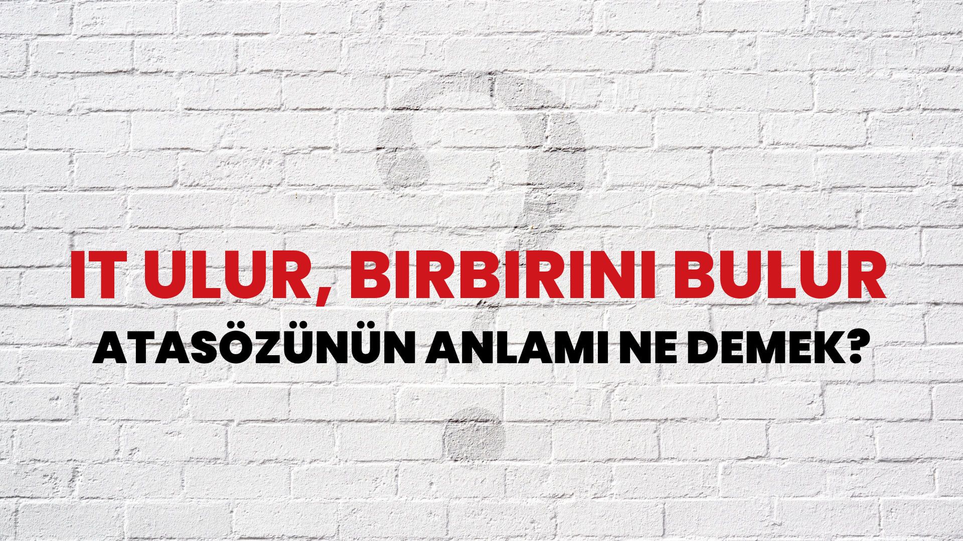 İt ulur, birbirini bulur Atasözünün Anlamı Ne Demek?