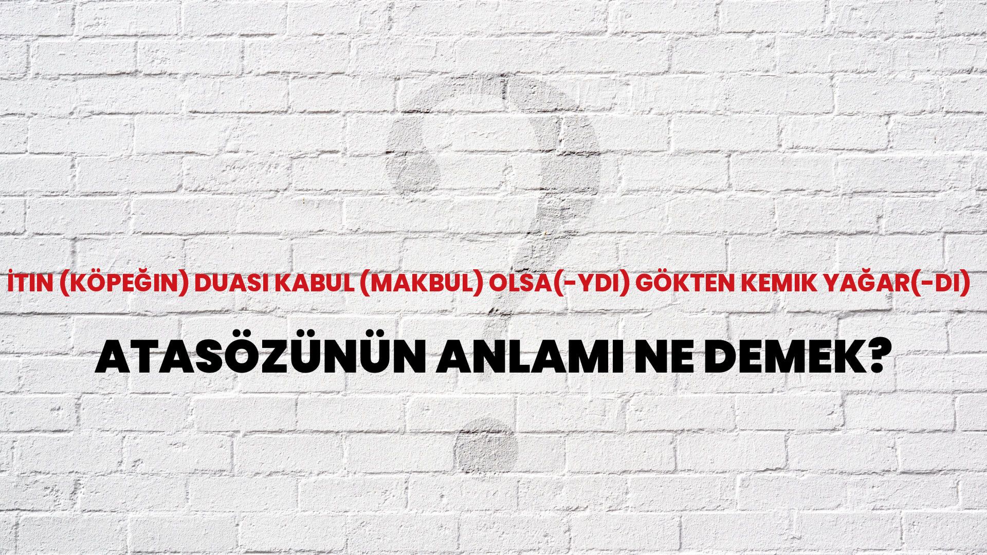 İtin (köpeğin) duası kabul (makbul) olsa(-ydı) gökten kemik yağar(-dı) Atasözünün Anlamı Ne Demek?