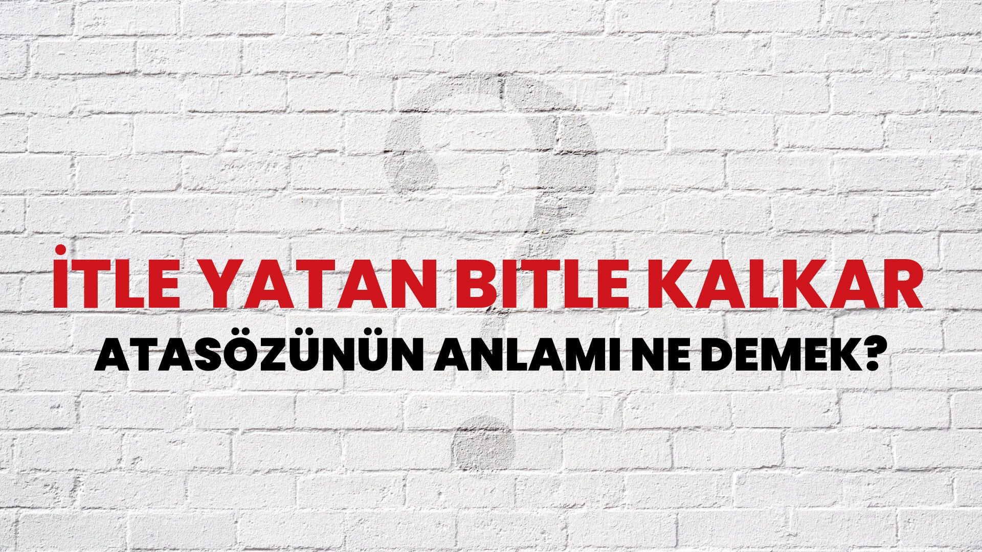 İtle yatan bitle kalkar Atasözünün Anlamı Ne Demek?