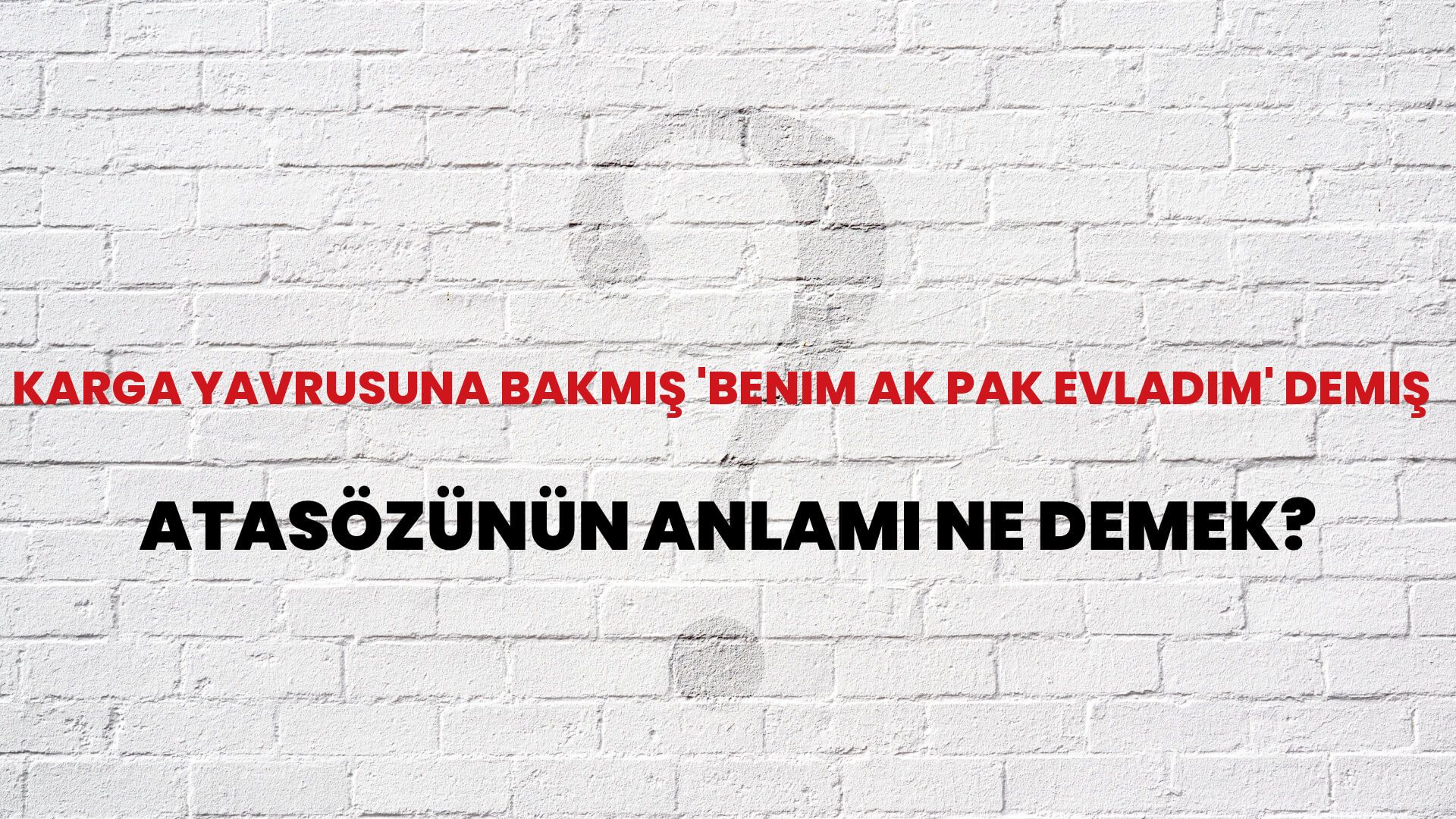 Karga yavrusuna bakmış 'benim ak pak evladım' demiş Atasözünün Anlamı Ne Demek?