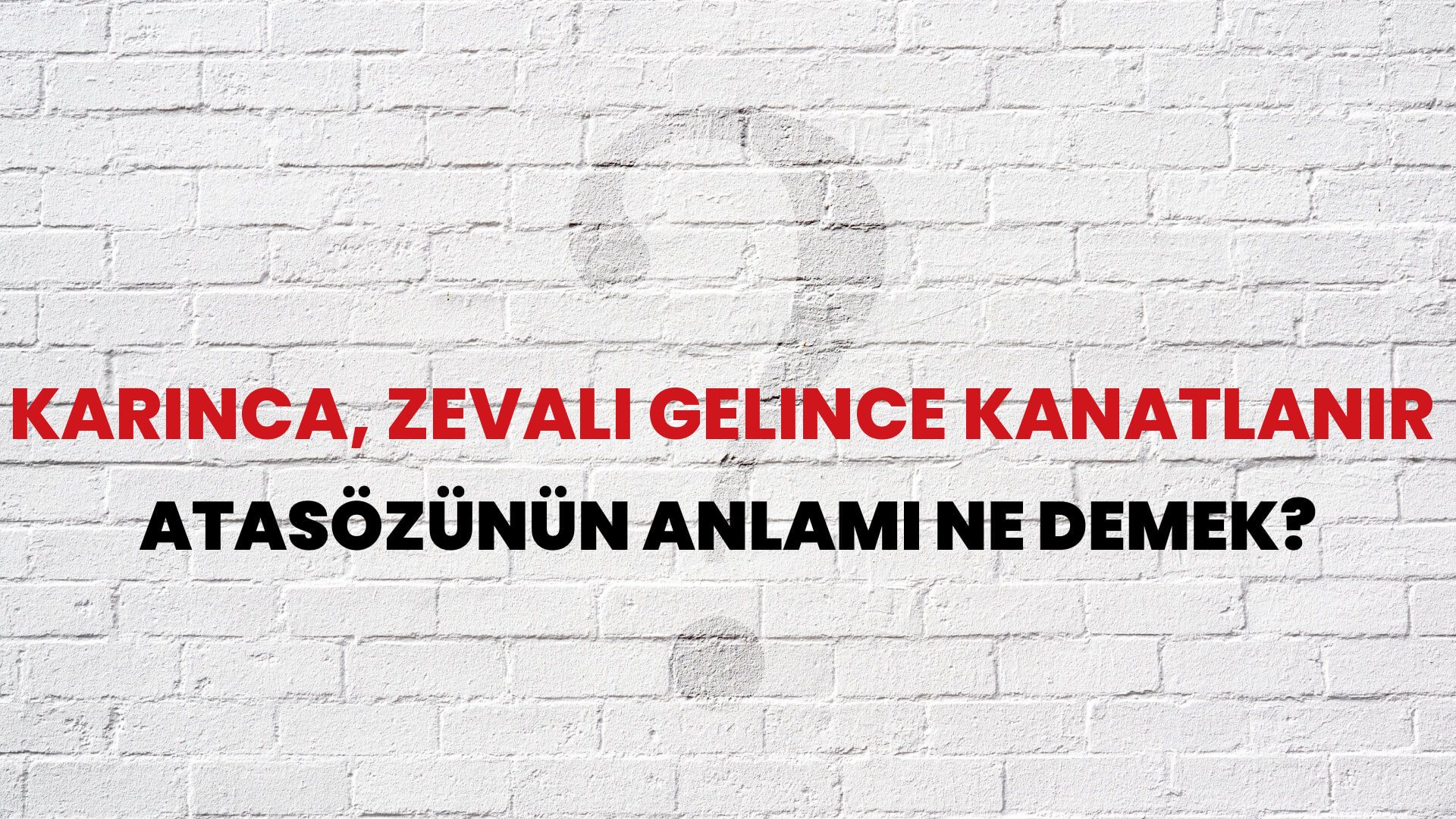 Karınca, zevali gelince kanatlanır Atasözünün Anlamı Ne Demek?
