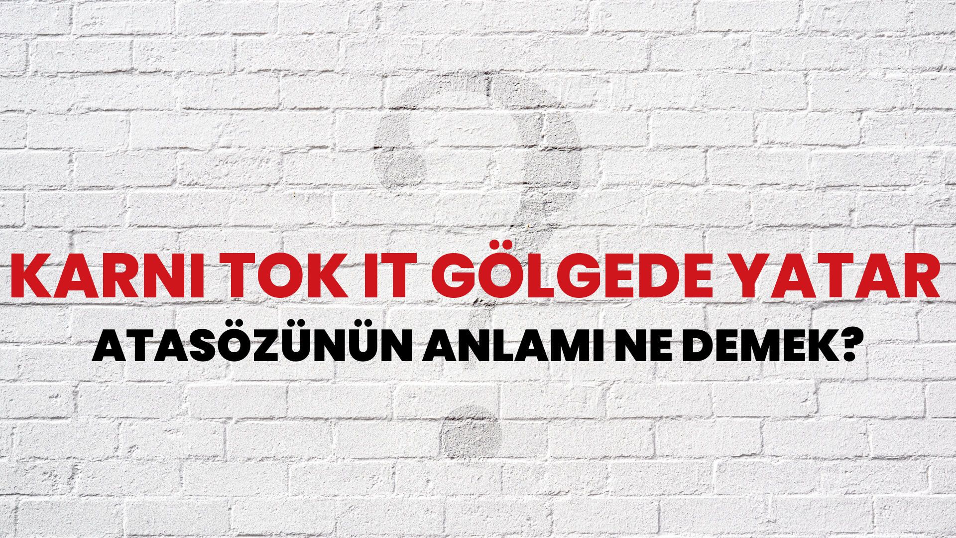 Karnı tok it gölgede yatar Atasözünün Anlamı Ne Demek?