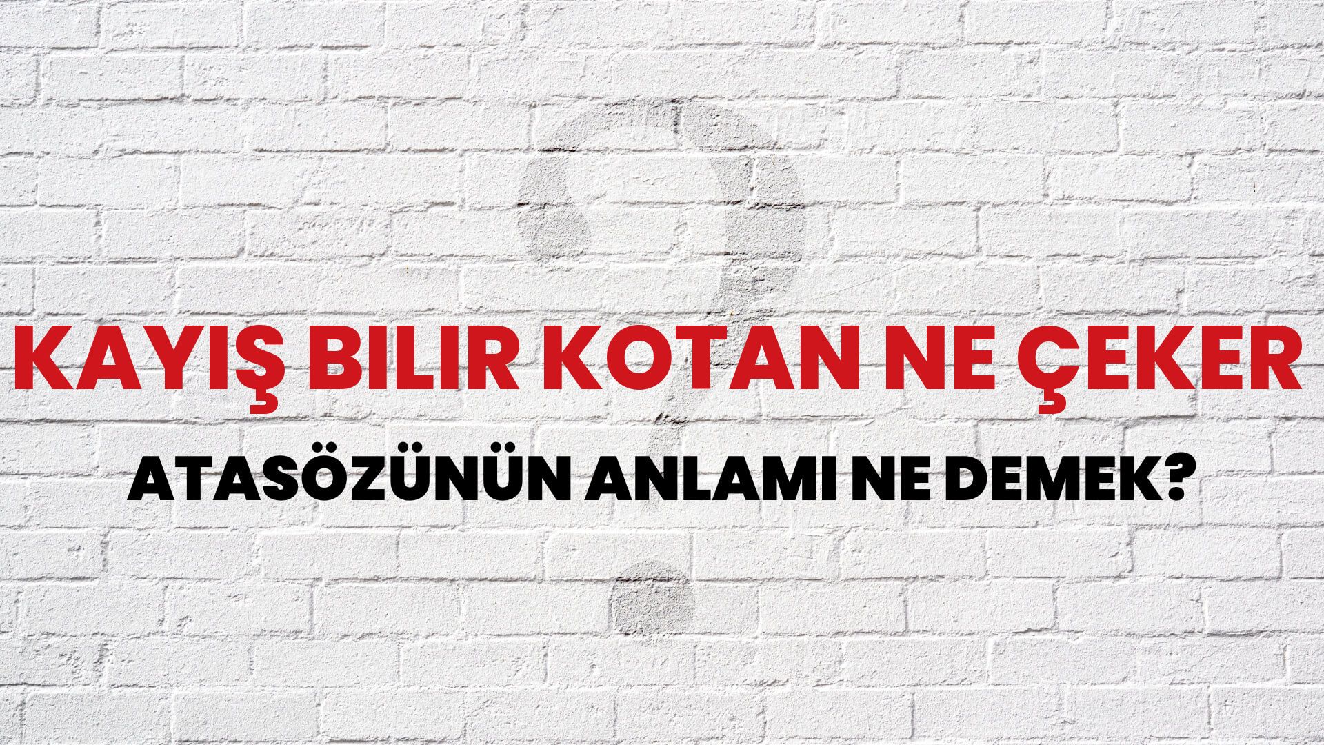 Kayış bilir kotan ne çeker Atasözünün Anlamı Ne Demek?