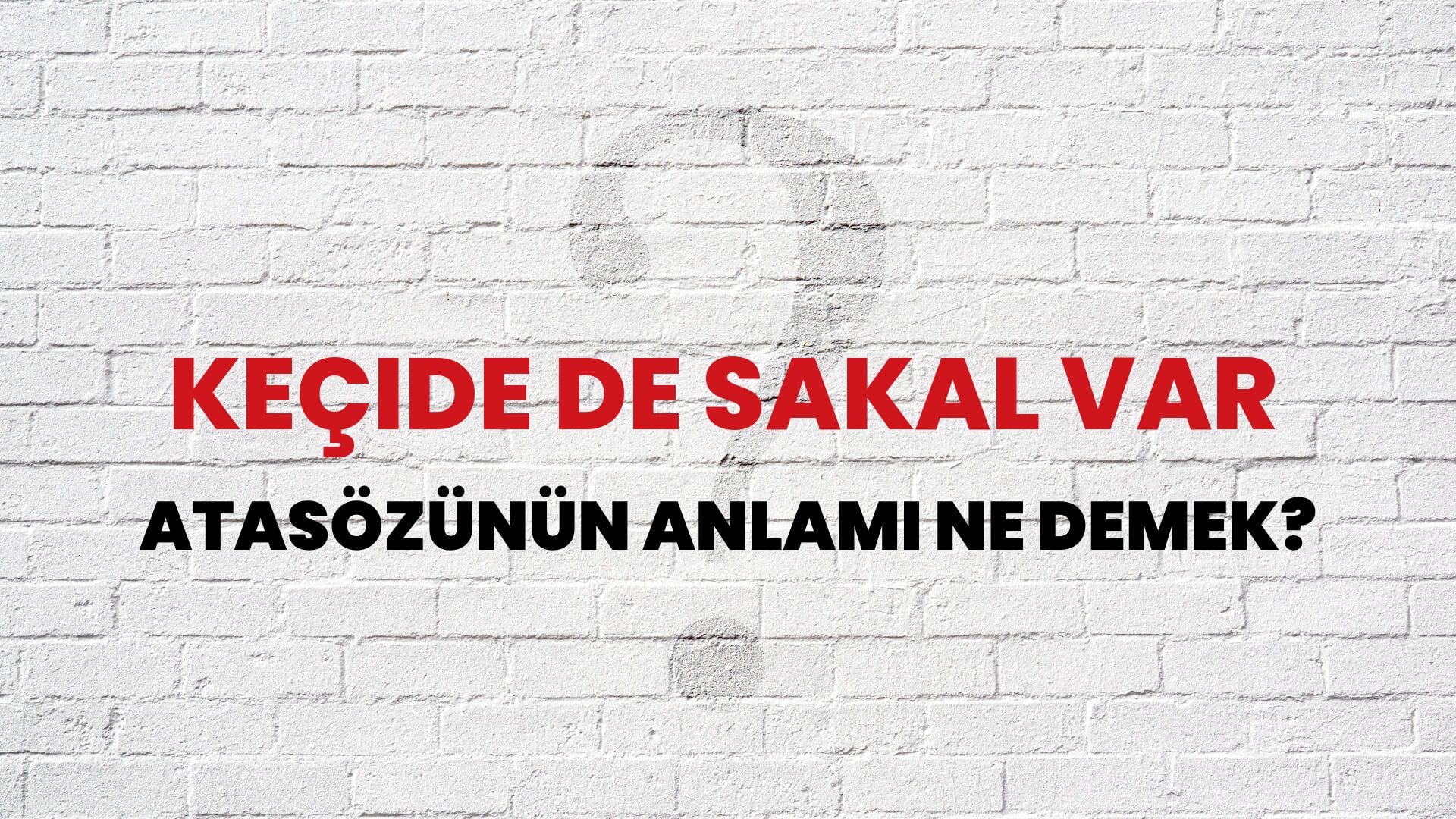 Keçide de sakal var Atasözünün Anlamı Ne Demek?