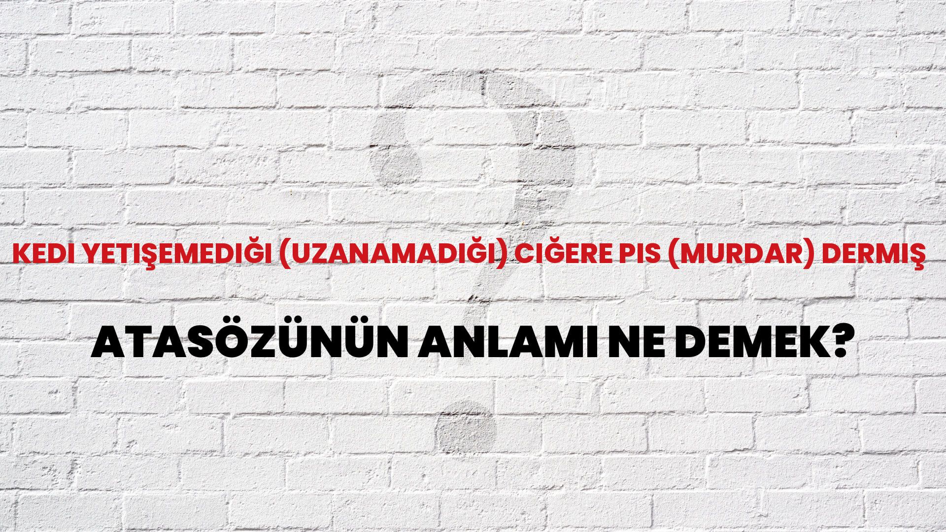 Kedi yetişemediği (uzanamadığı) ciğere pis (murdar) dermiş Atasözünün Anlamı Ne Demek?