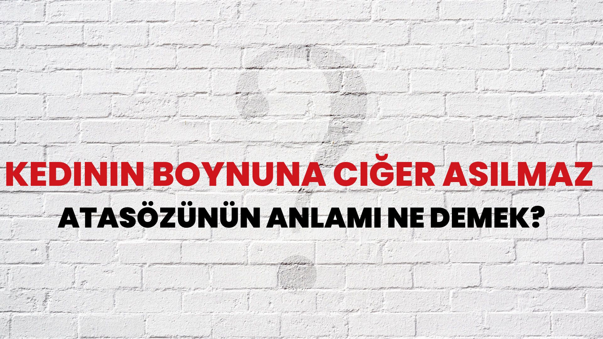 Kedinin boynuna ciğer asılmaz Atasözünün Anlamı Ne Demek?