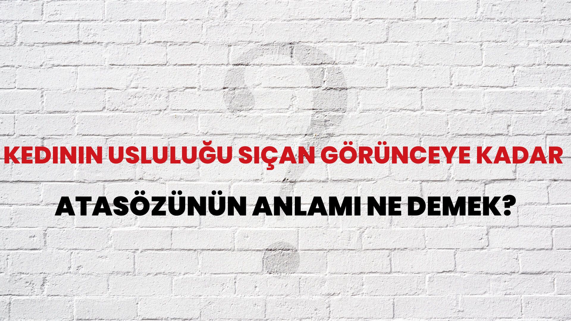 Kedinin usluluğu sıçan görünceye kadar Atasözünün Anlamı Ne Demek?