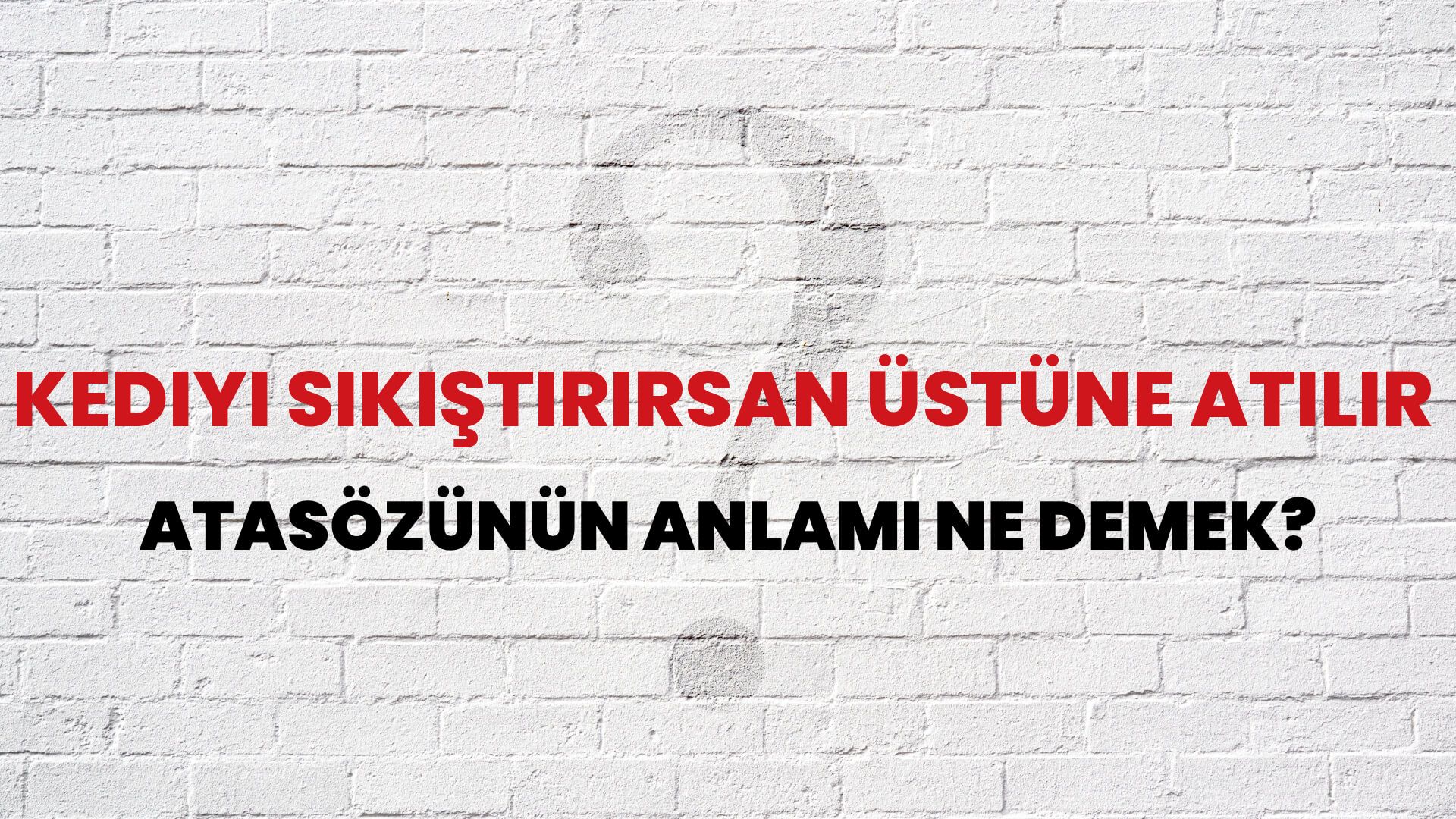 Kediyi sıkıştırırsan üstüne atılır Atasözünün Anlamı Ne Demek?