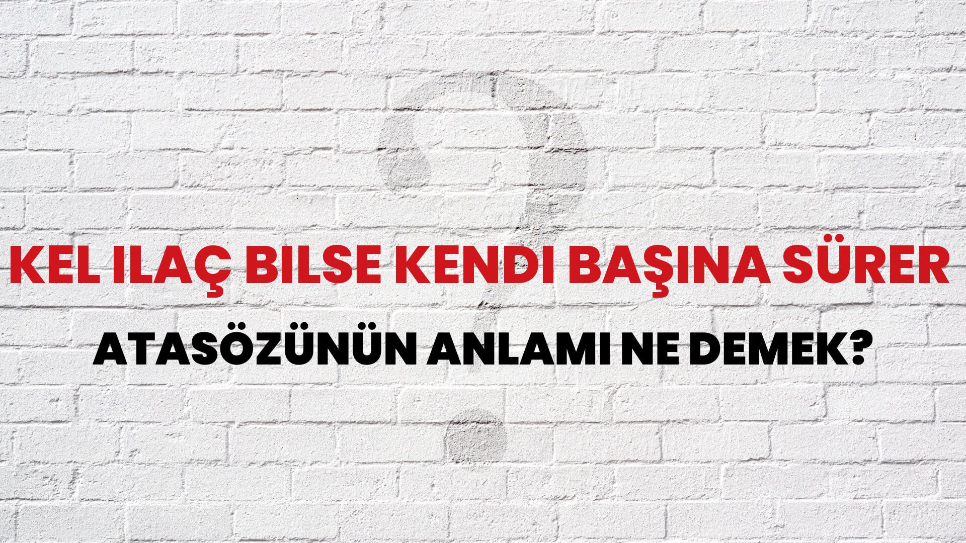 Kel ilaç bilse kendi başına sürer Atasözünün Anlamı Ne Demek?