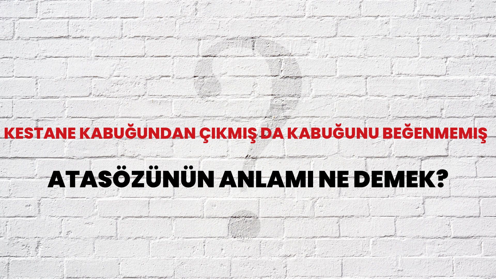 Kestane kabuğundan çıkmış da kabuğunu beğenmemiş Atasözünün Anlamı Ne Demek?