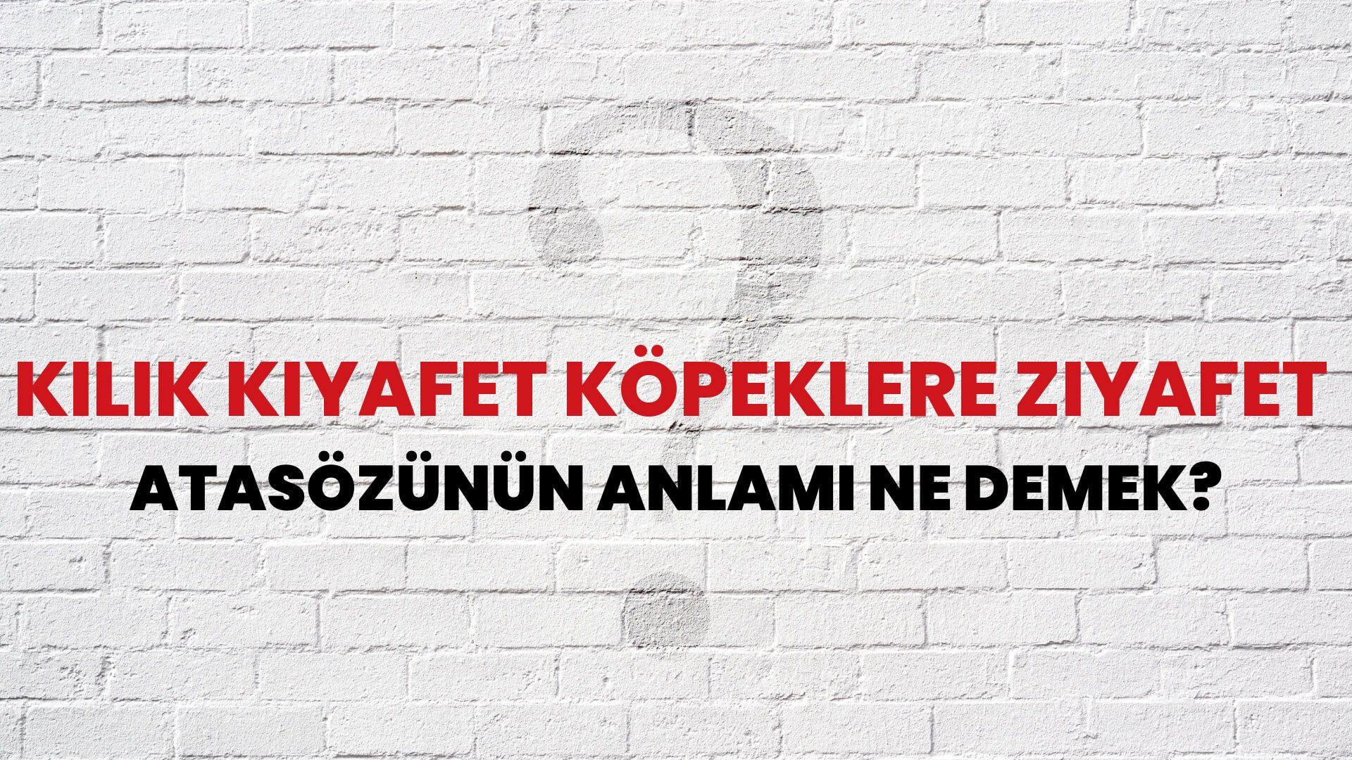 Kılık kıyafet köpeklere ziyafet Atasözünün Anlamı Ne Demek?