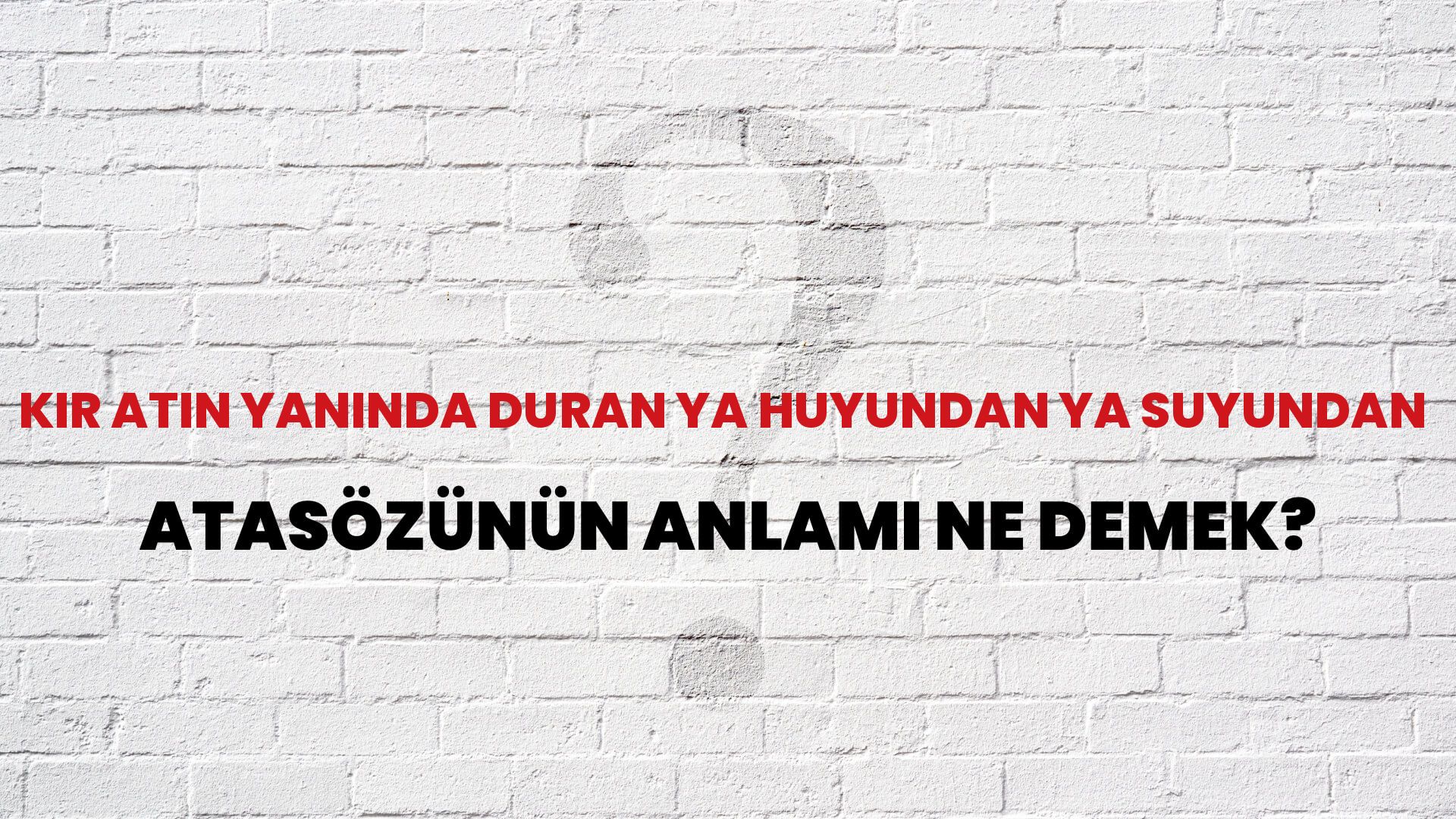 Kır atın yanında duran ya huyundan ya suyundan Atasözünün Anlamı Ne Demek?
