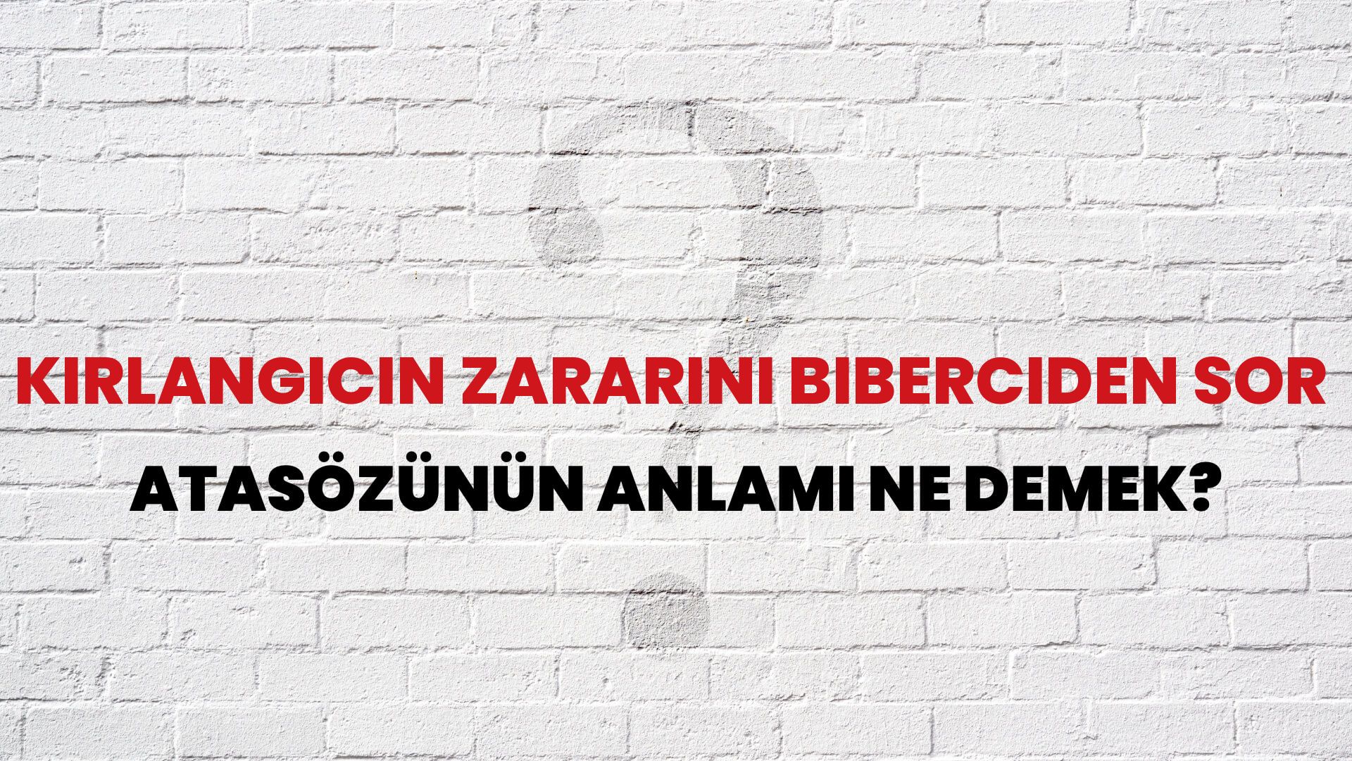 Kırlangıcın zararını biberciden sor Atasözünün Anlamı Ne Demek?