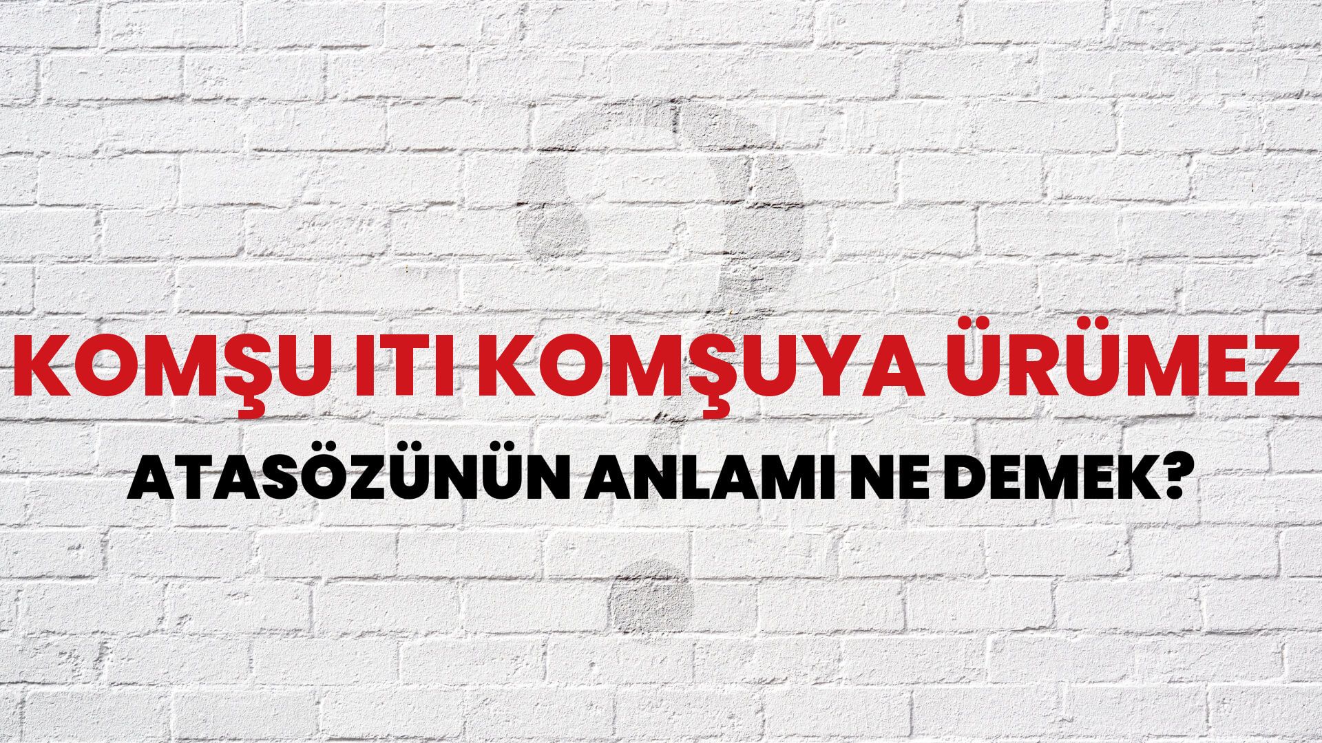 Komşu iti komşuya ürümez Atasözünün Anlamı Ne Demek?