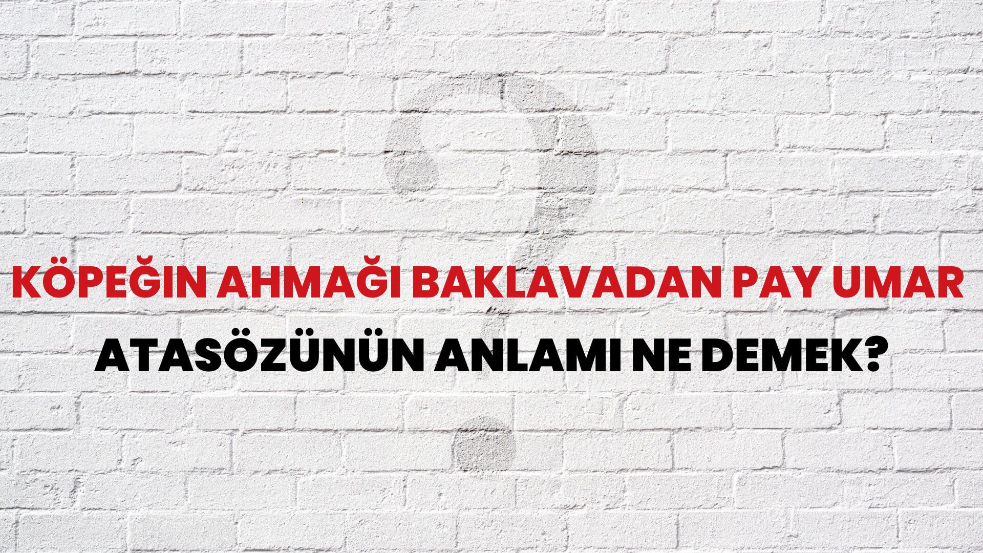 Köpeğin ahmağı baklavadan pay umar Atasözünün Anlamı Ne Demek?