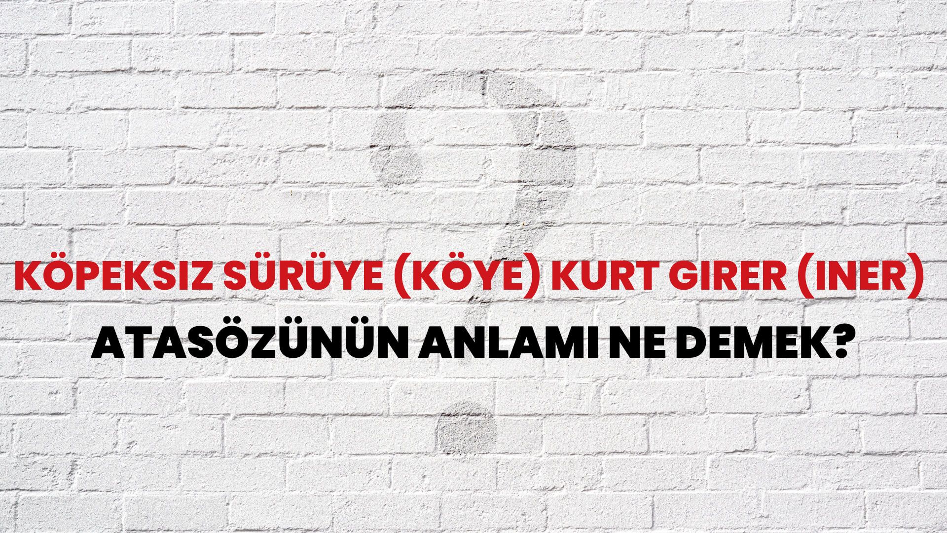 Köpeksiz sürüye (köye) kurt girer (iner) Atasözünün Anlamı Ne Demek?