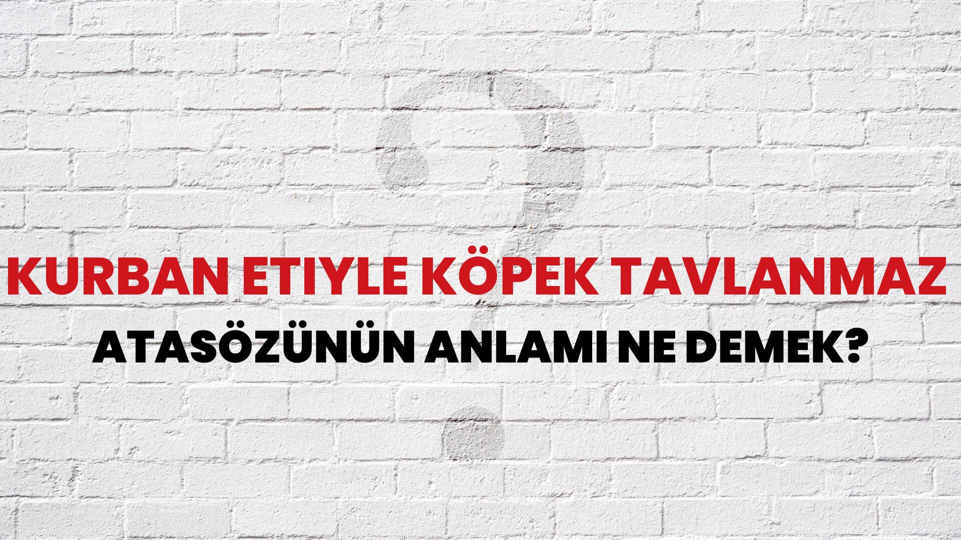 Kurban etiyle köpek tavlanmaz Atasözünün Anlamı Ne Demek?