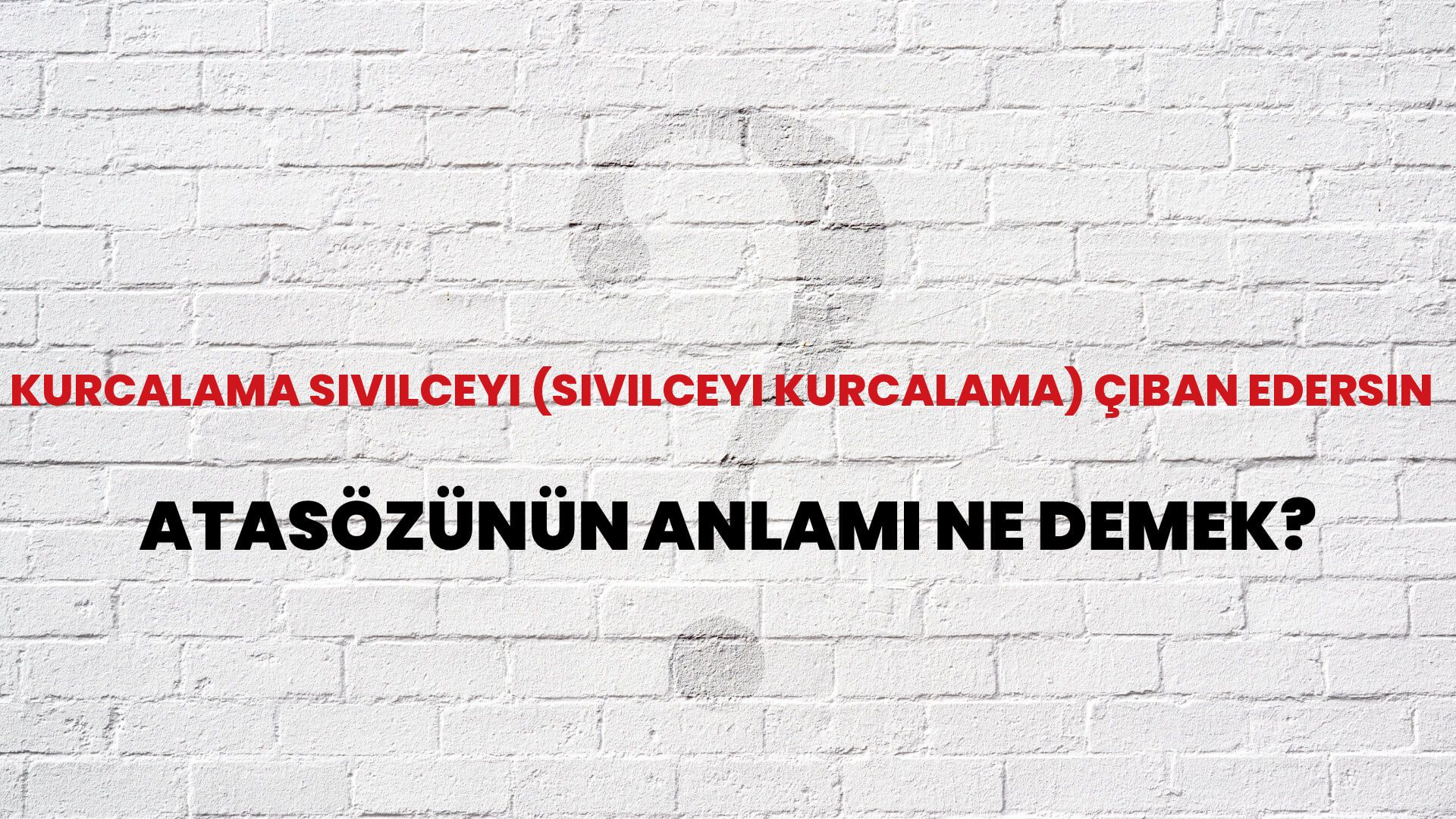 Kurcalama sivilceyi (sivilceyi kurcalama) çıban edersin Atasözünün Anlamı Ne Demek?