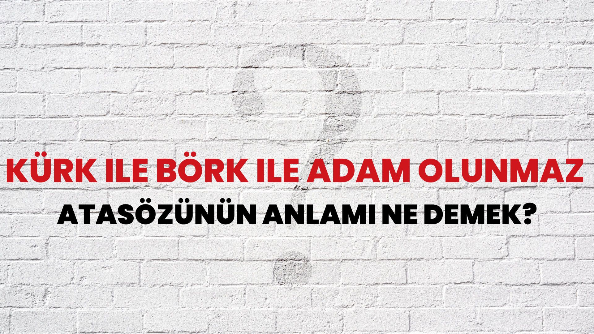 Kürk ile börk ile adam olunmaz Atasözünün Anlamı Ne Demek?