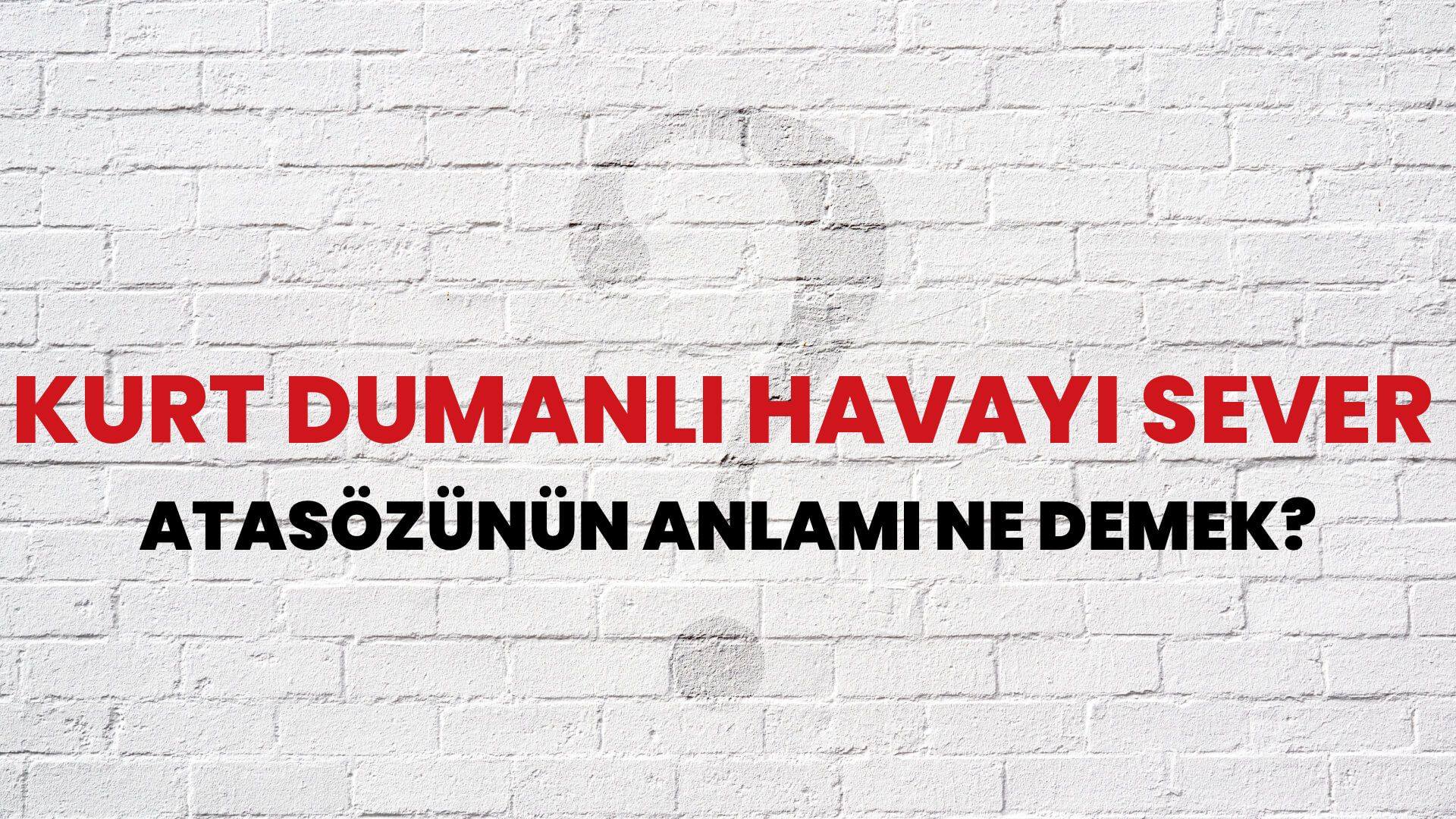 Kurt dumanlı havayı sever Atasözünün Anlamı Ne Demek?