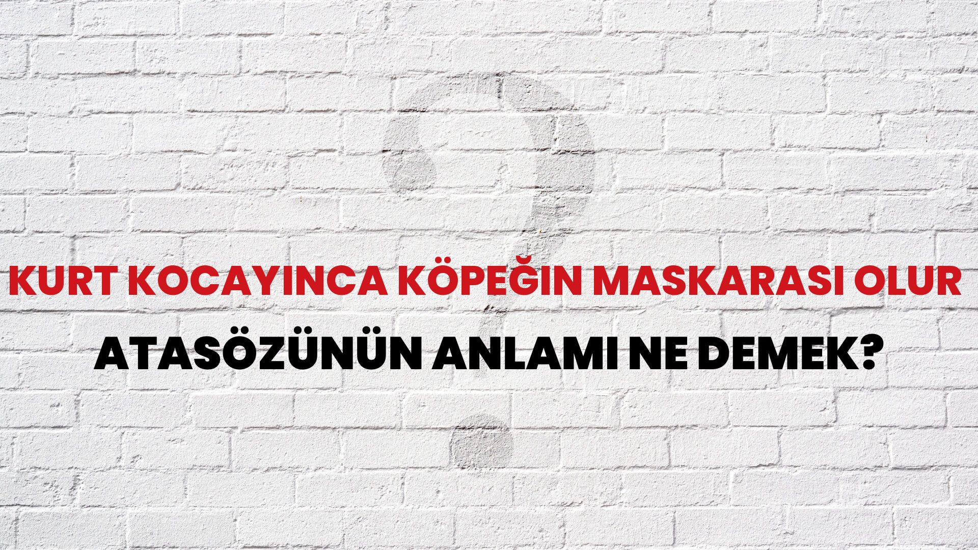 Kurt kocayınca köpeğin maskarası olur Atasözünün Anlamı Ne Demek?