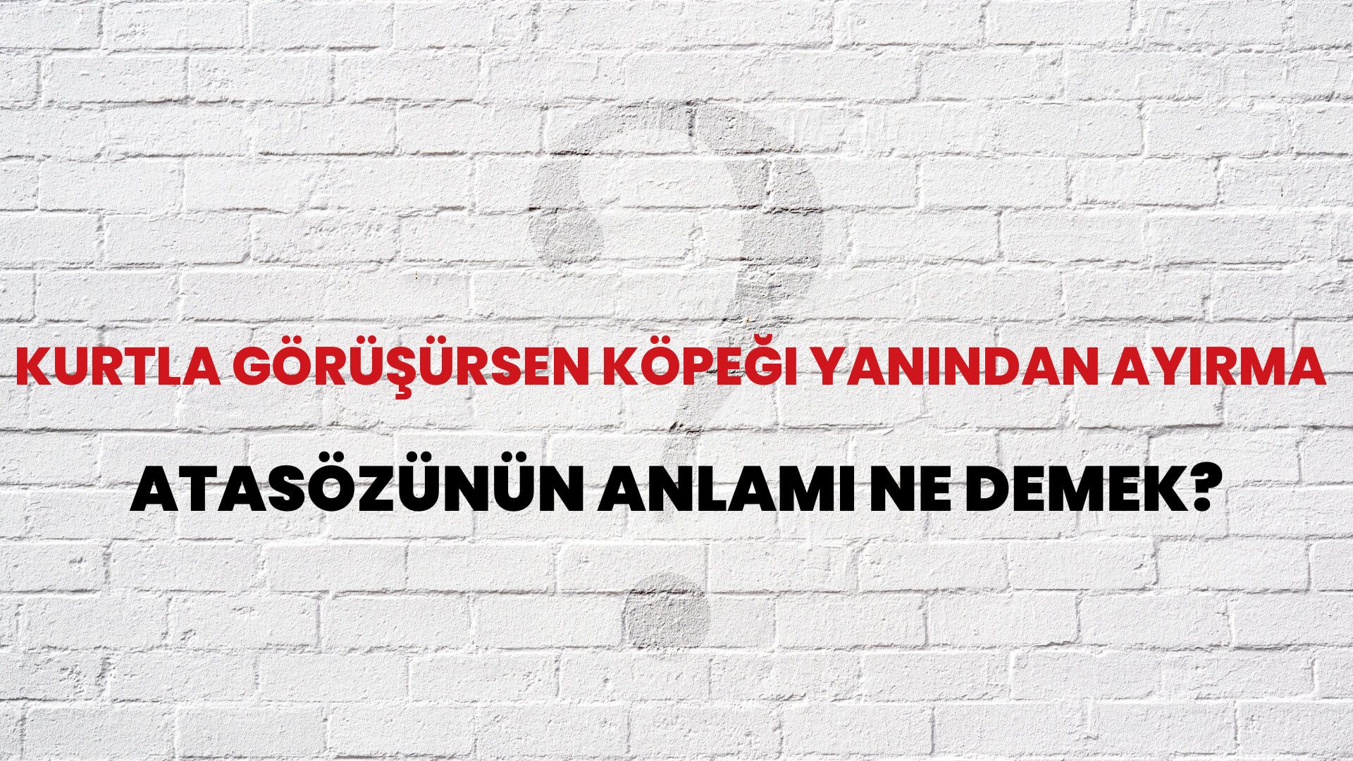 Kurtla görüşürsen köpeği yanından ayırma Atasözünün Anlamı Ne Demek?