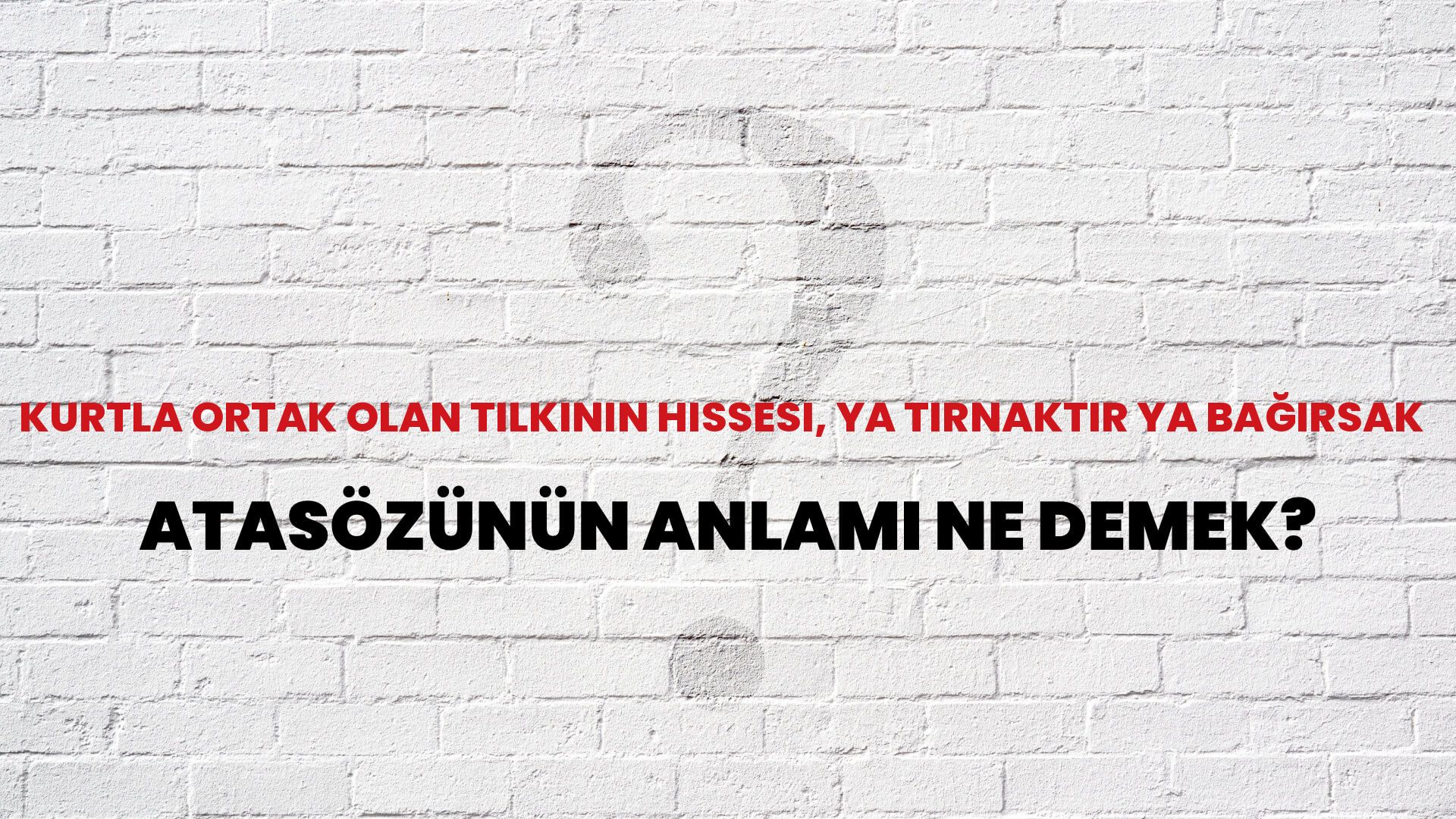 Kurtla ortak olan tilkinin hissesi, ya tırnaktır ya bağırsak Atasözünün Anlamı Ne Demek?