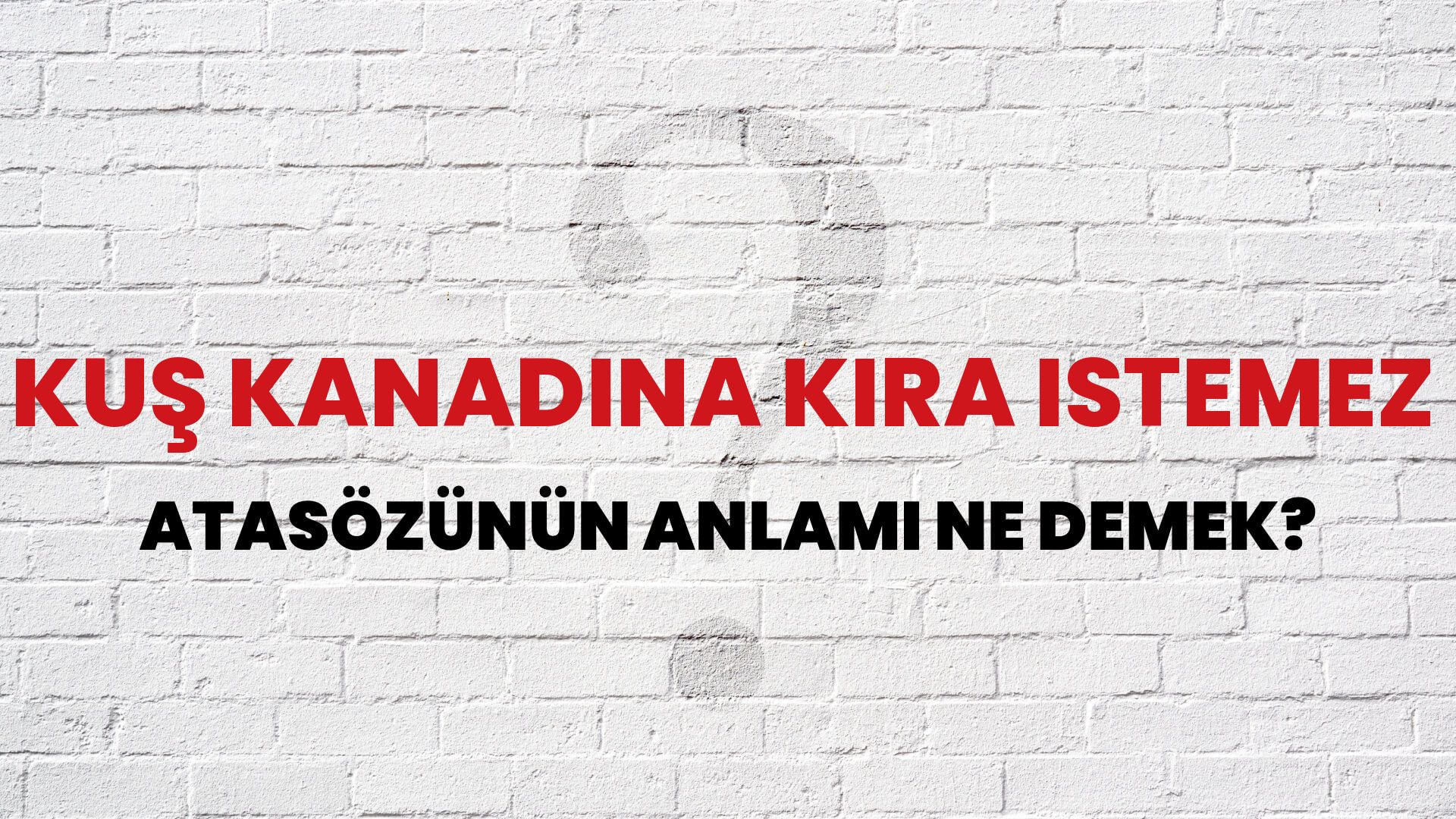 Kuş kanadına kira istemez Atasözünün Anlamı Ne Demek?