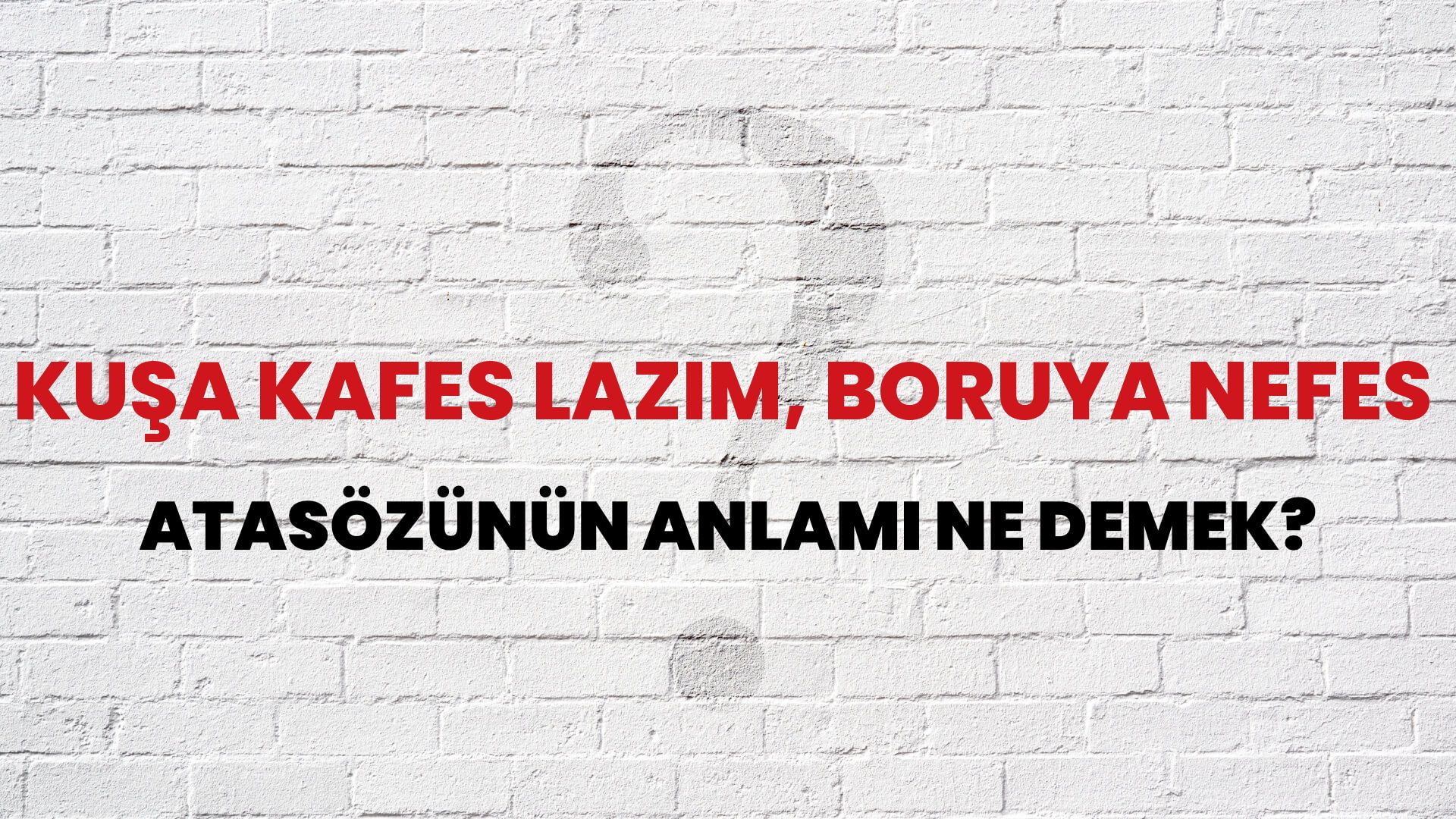 Kuşa kafes lazım, boruya nefes Atasözünün Anlamı Ne Demek?